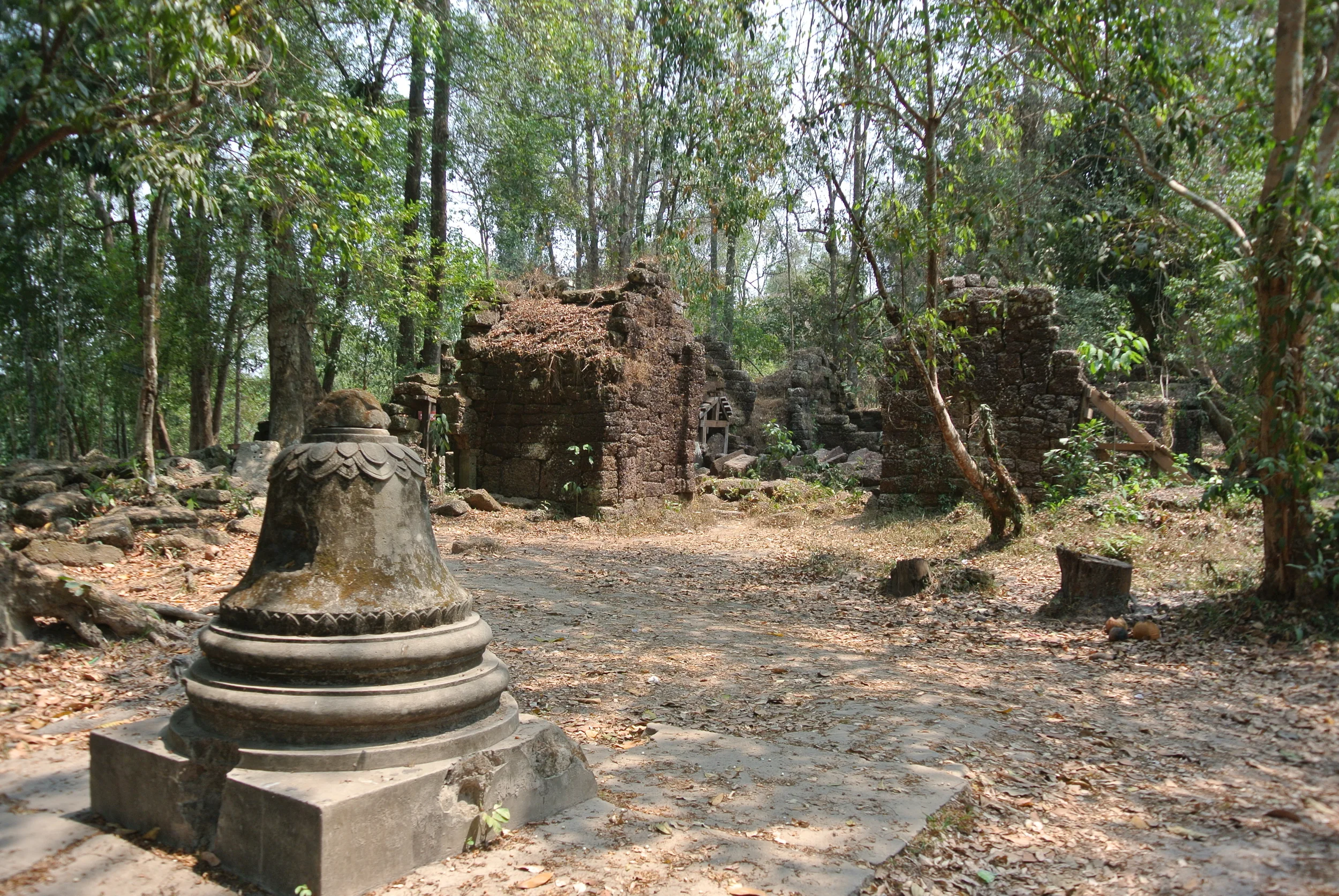 DSC_6753.JPG