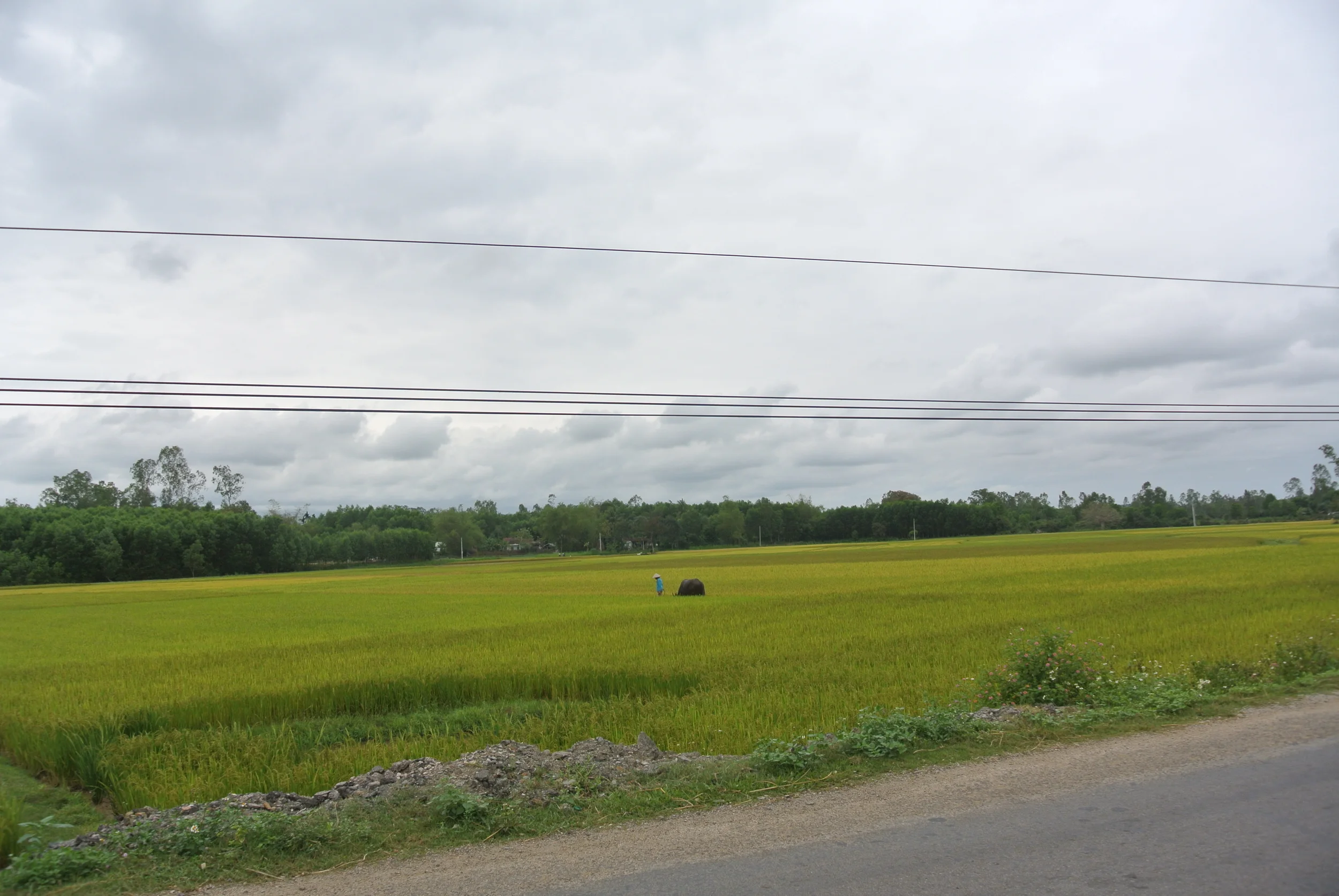 DSC_7122.JPG