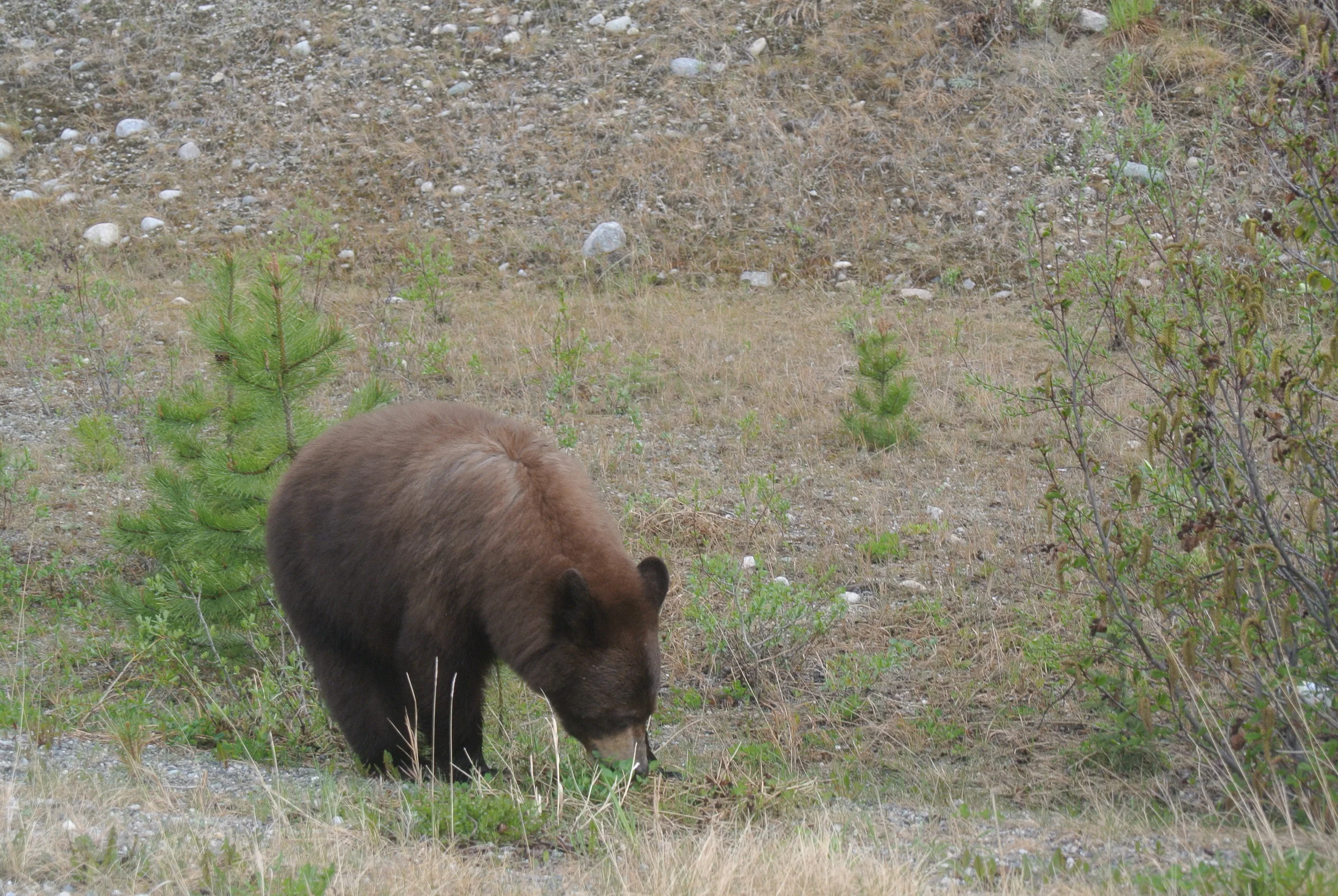 DSC_9080.JPG