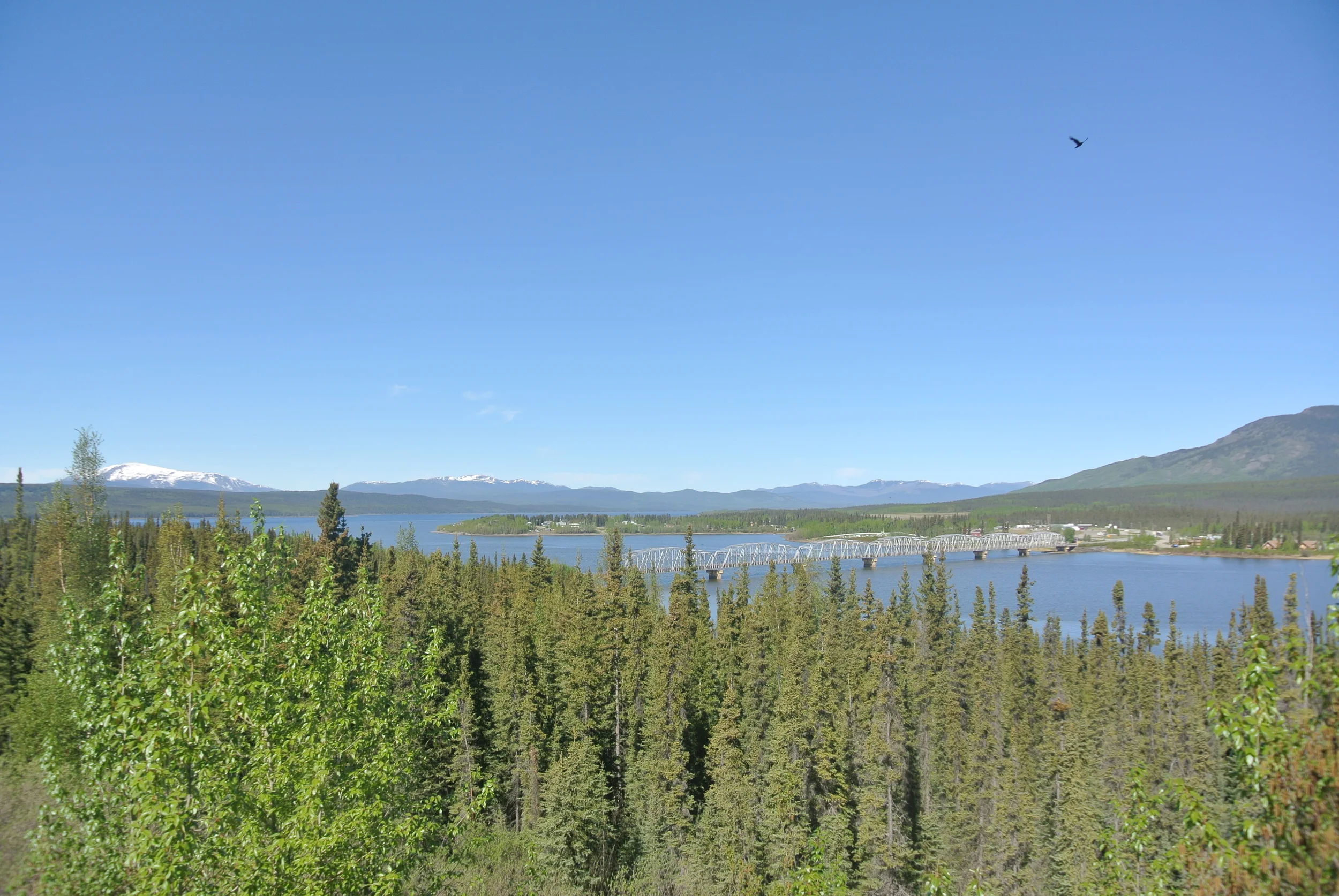 DSC_9115.JPG