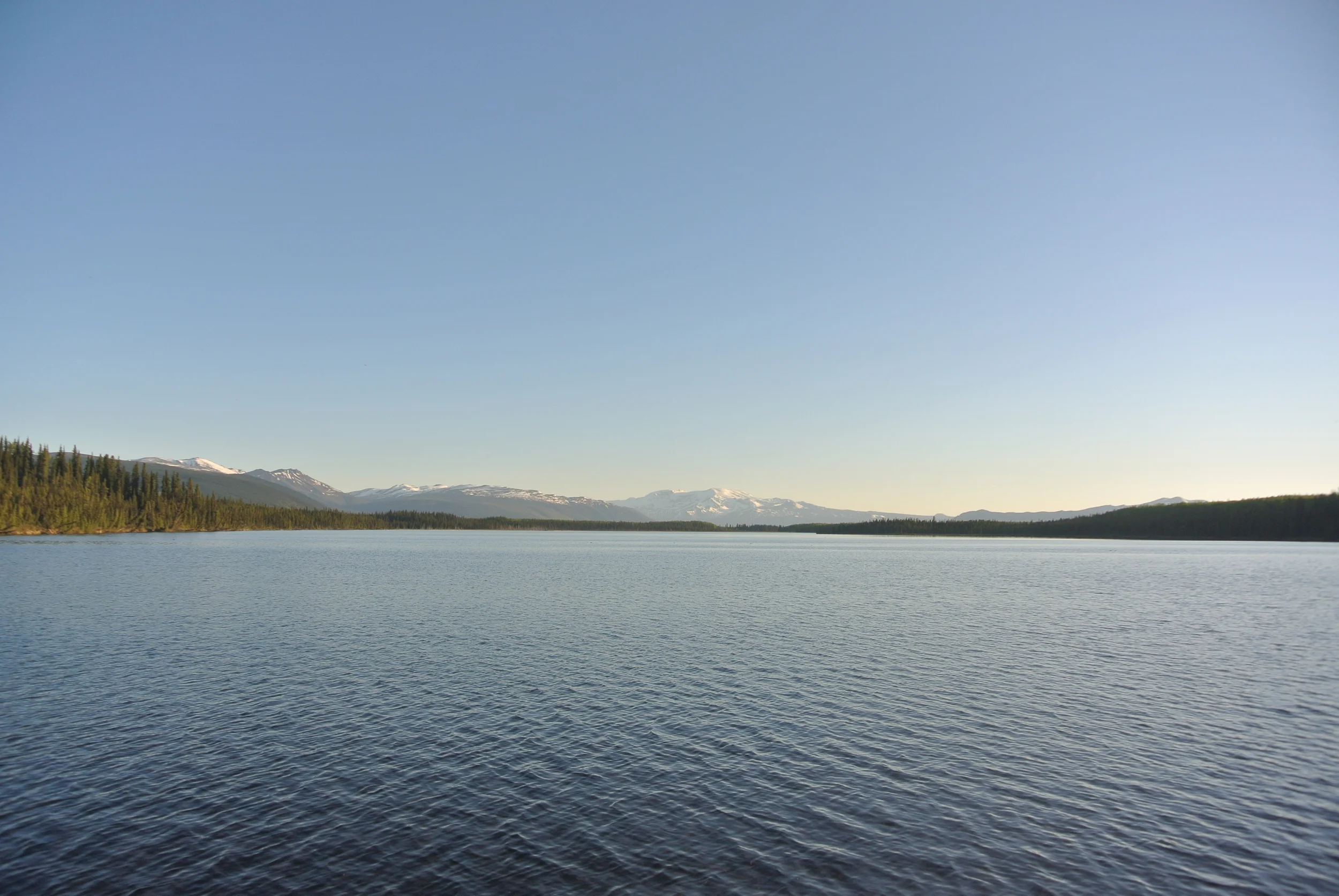 DSC_9184.JPG
