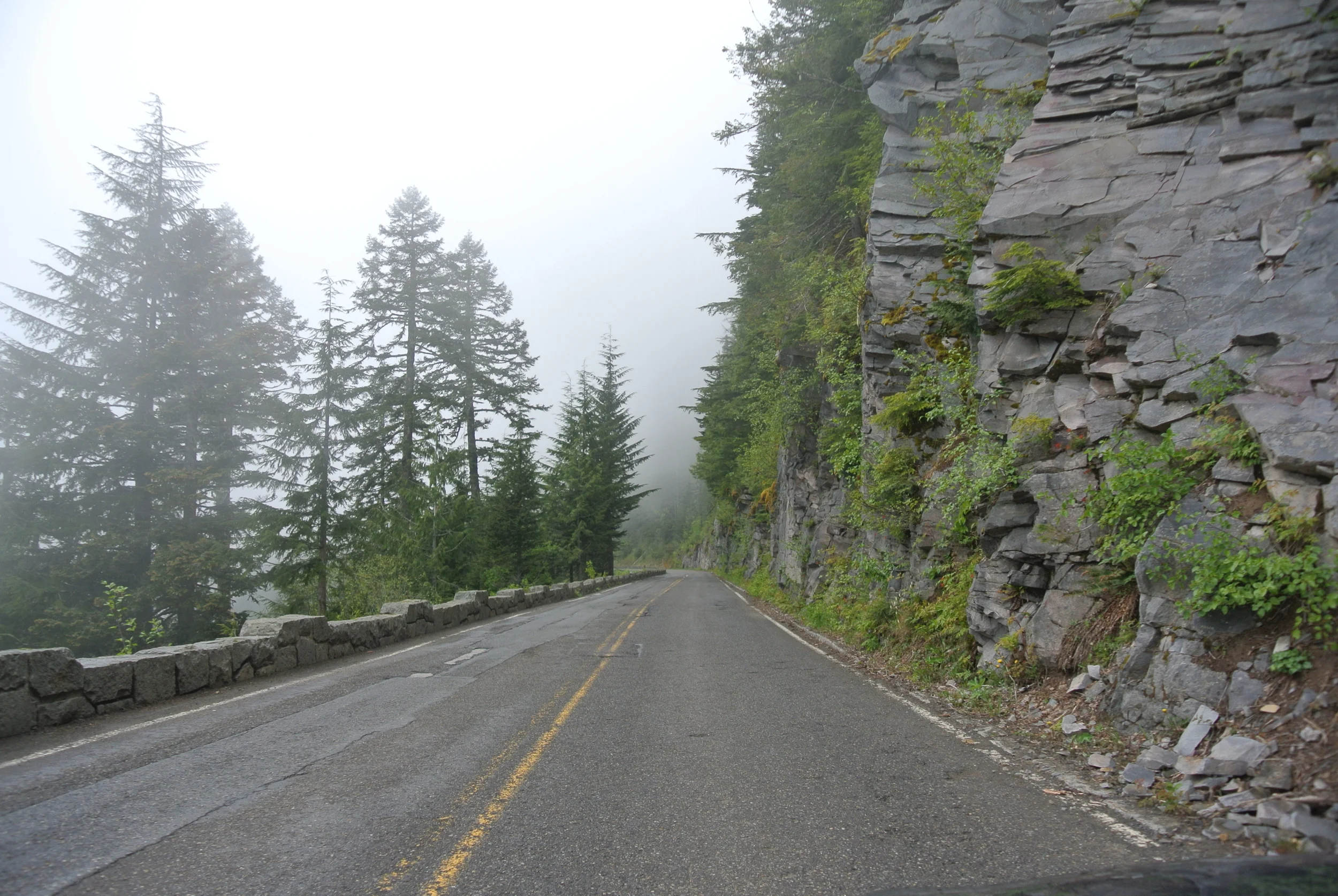 DSC_9310.JPG