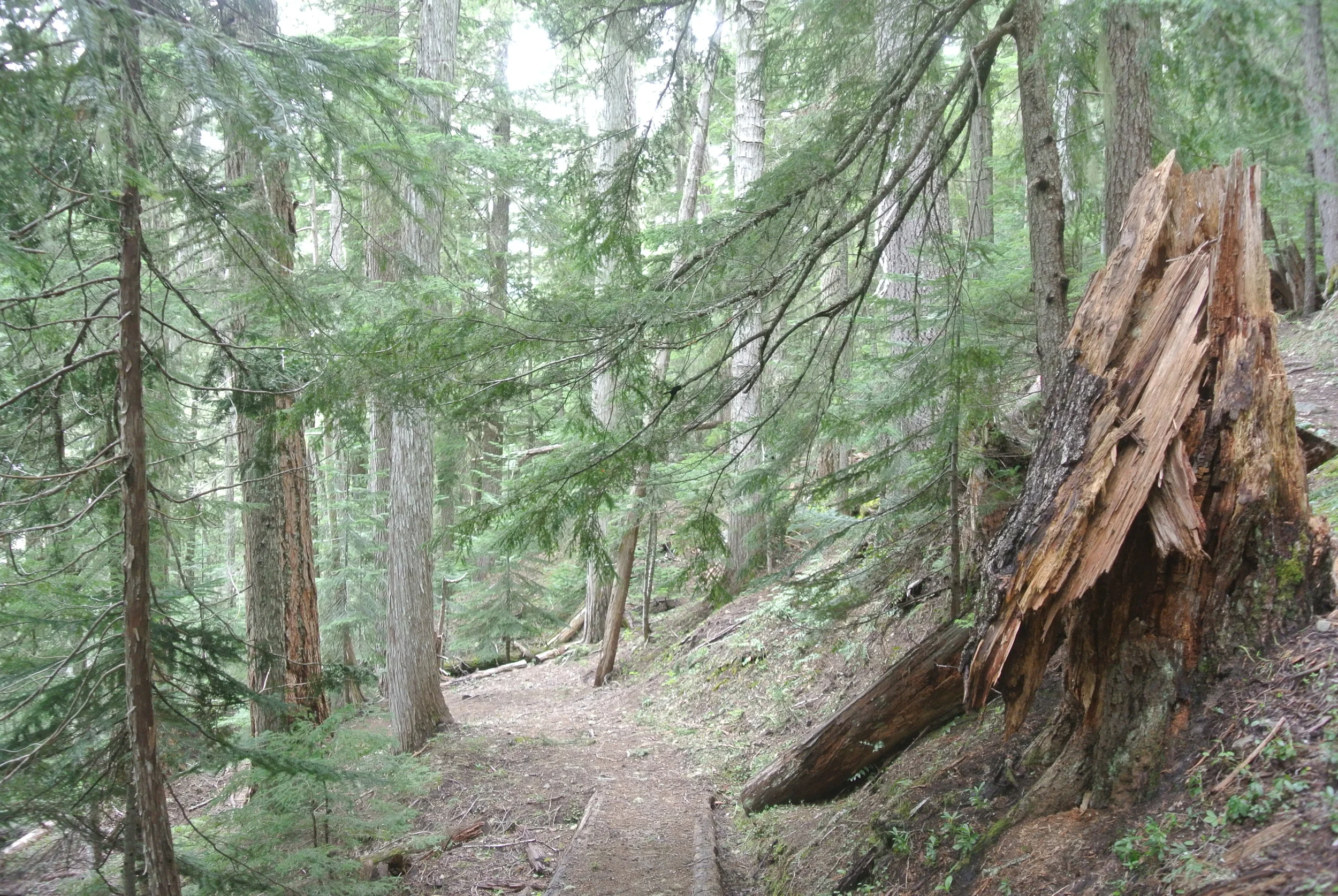 DSC_9243.JPG