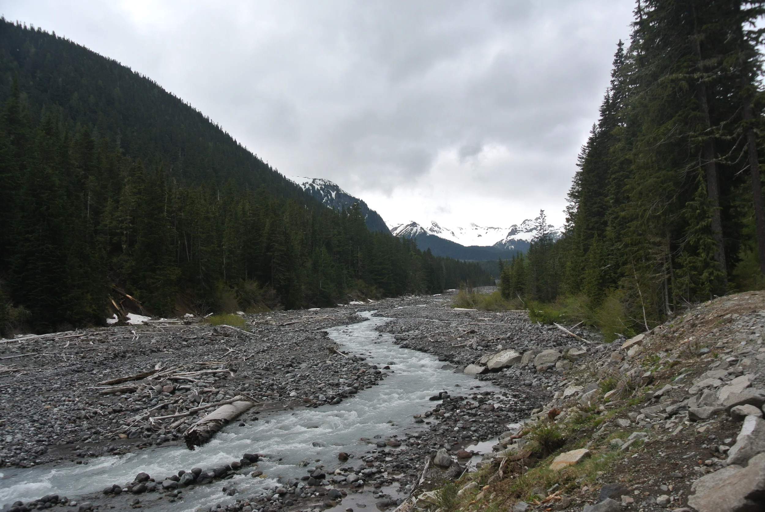 DSC_9257.JPG