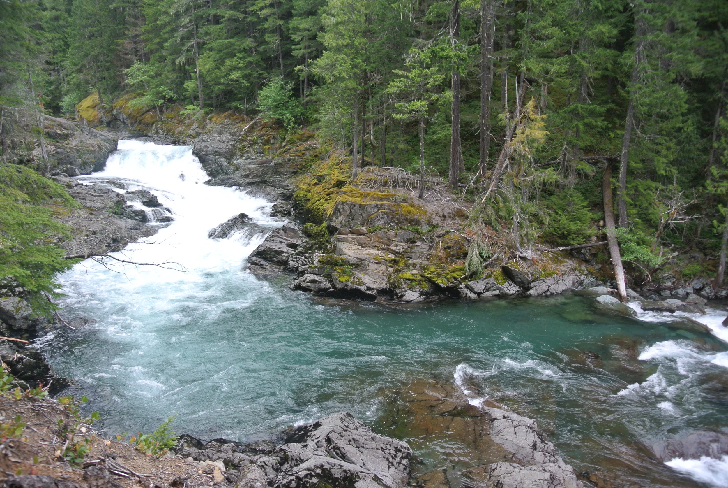 DSC_9280.JPG