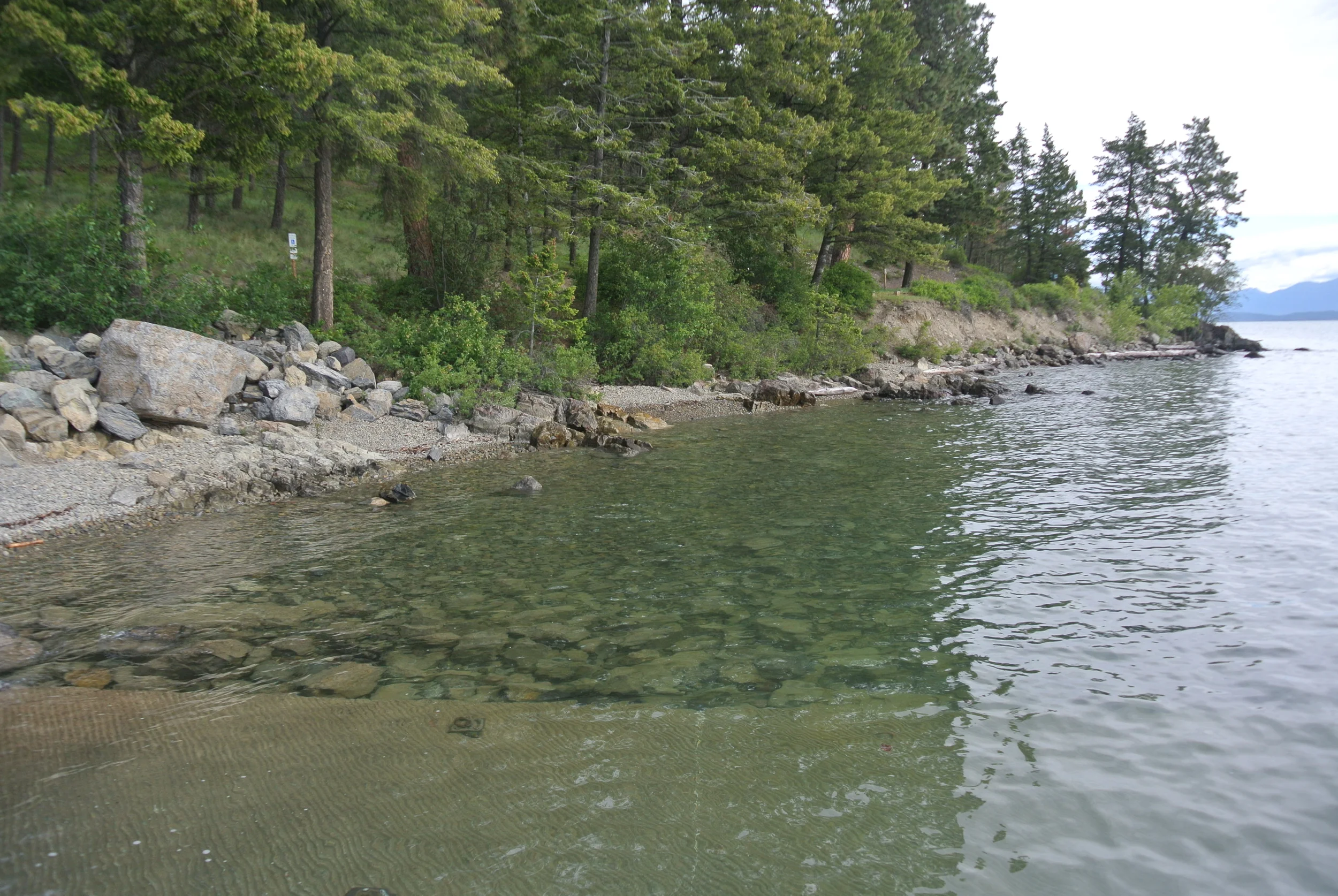 DSC_0350.JPG