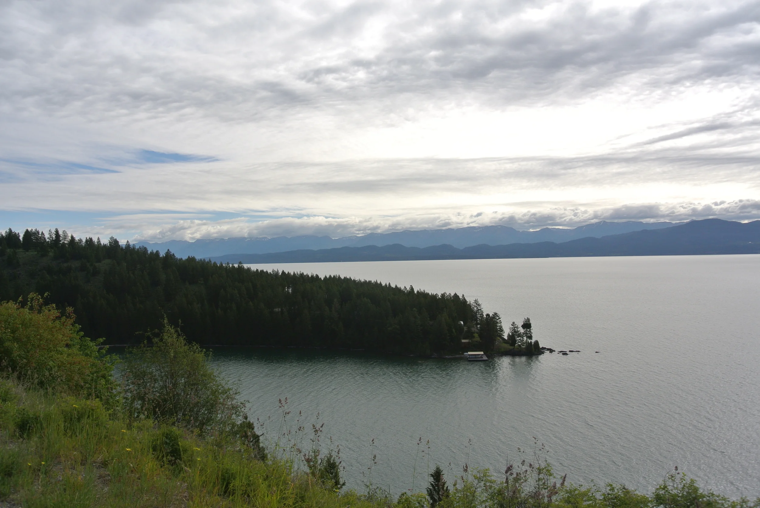 DSC_0352.JPG