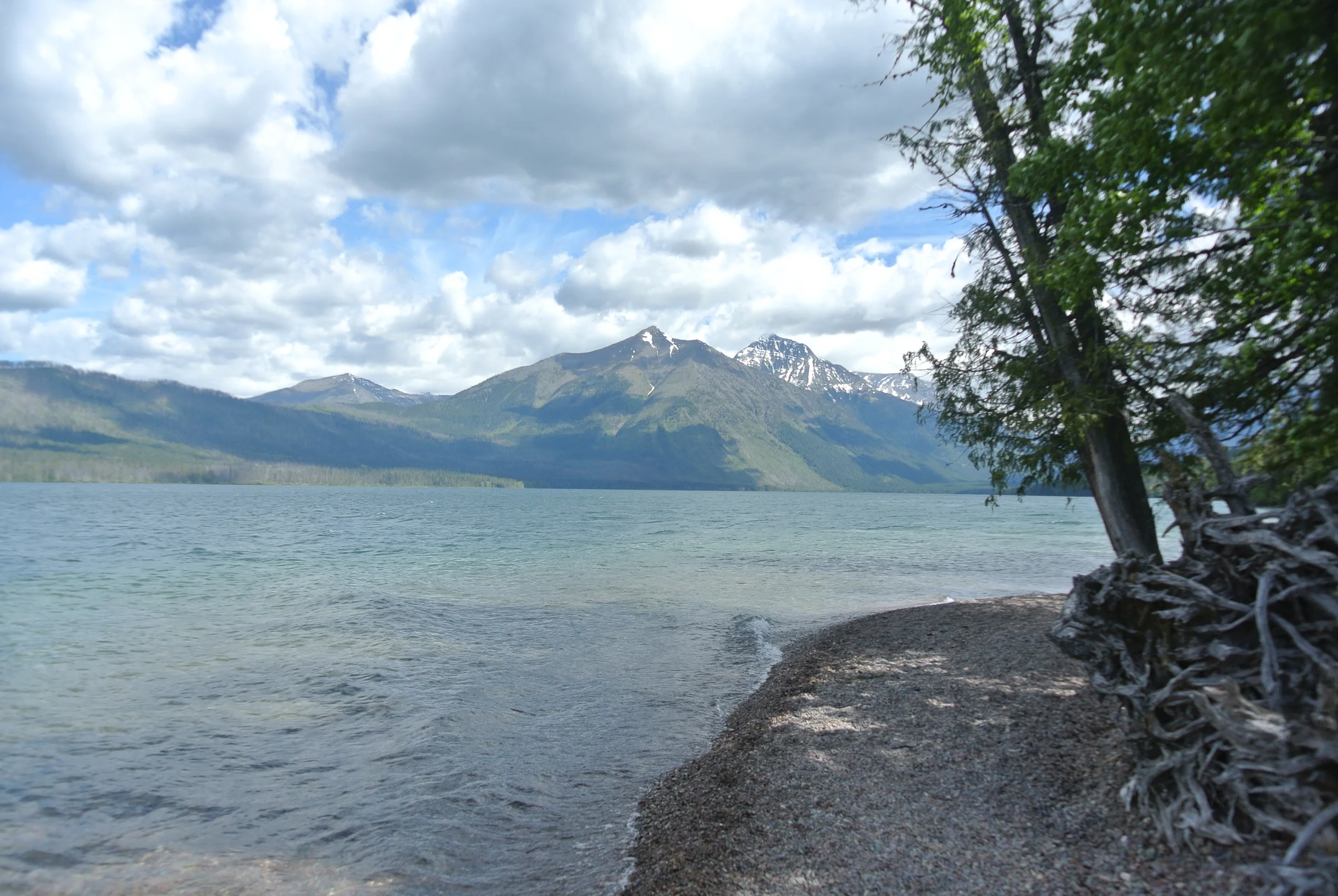 DSC_0360.JPG