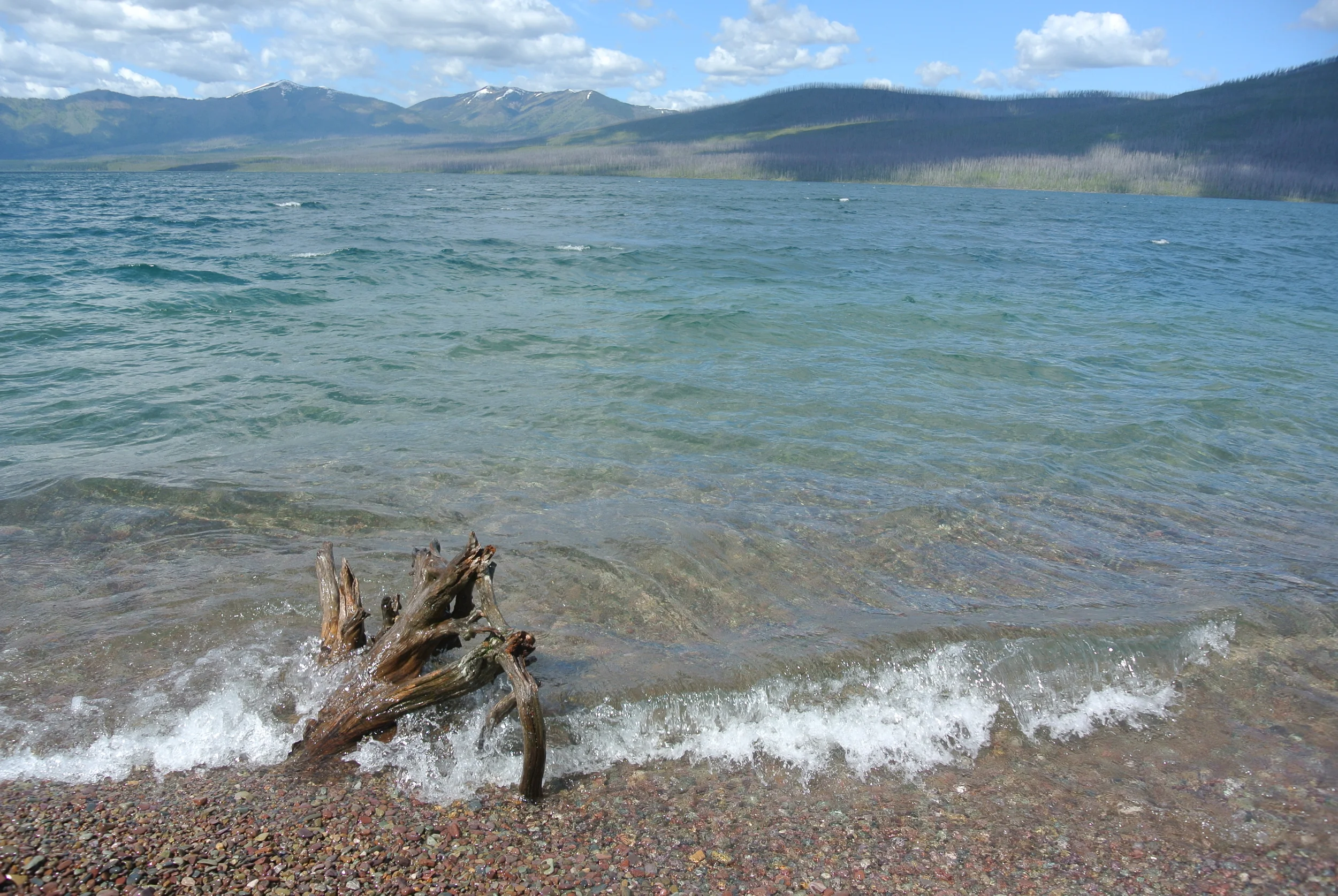 DSC_0359.JPG