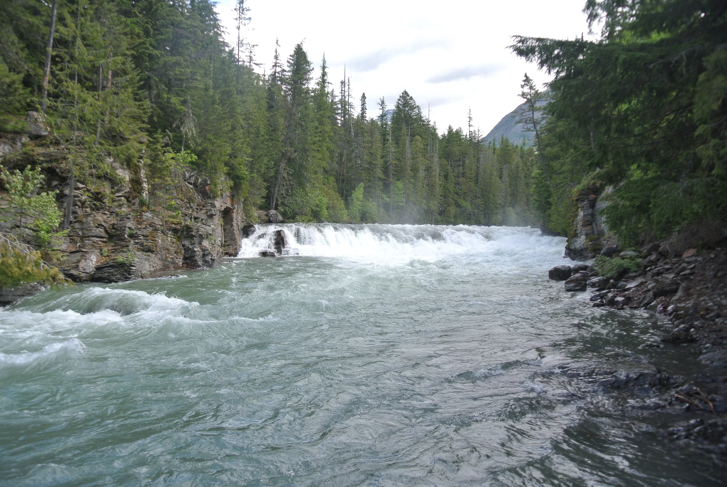 DSC_0374.JPG