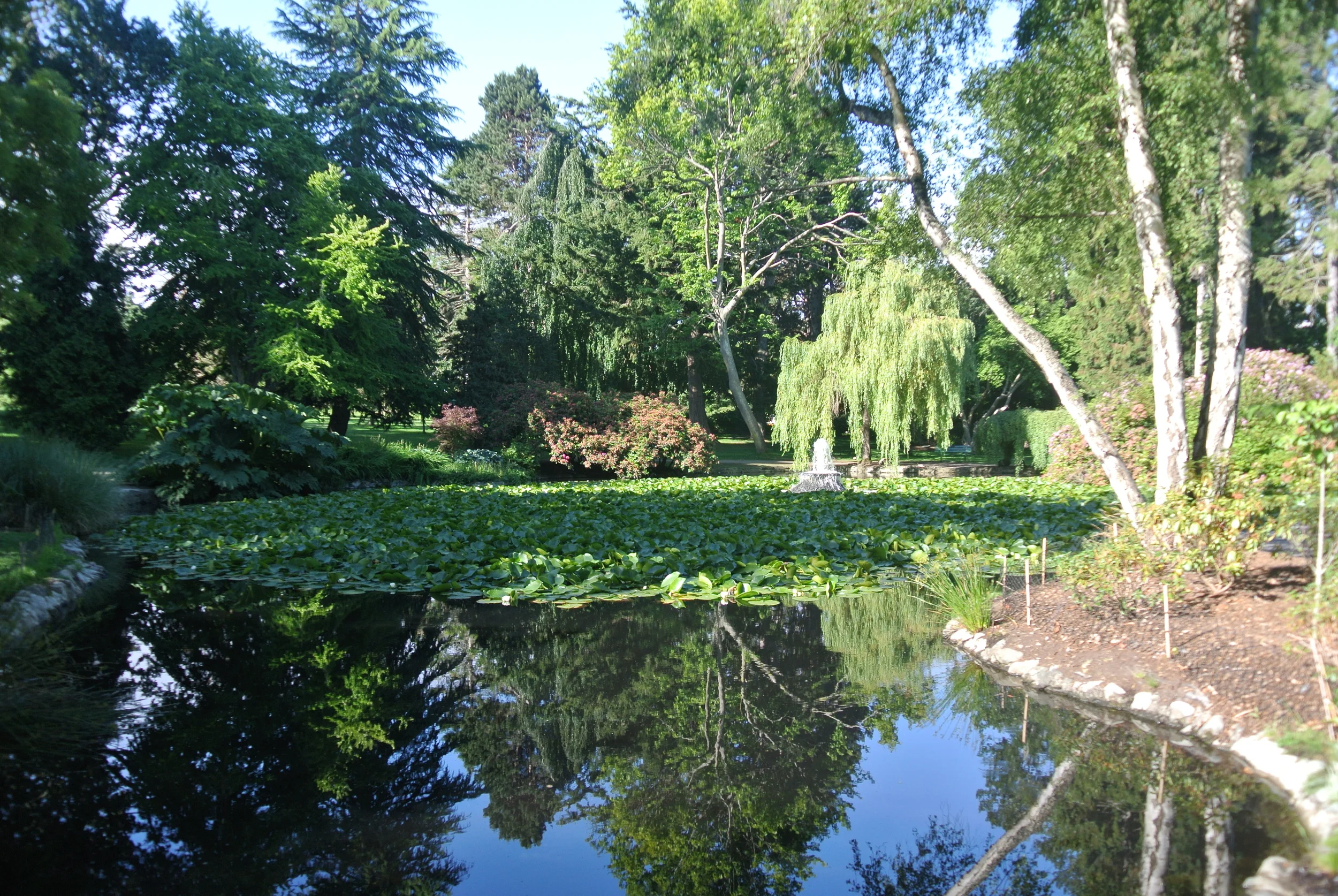 DSC_0576.JPG