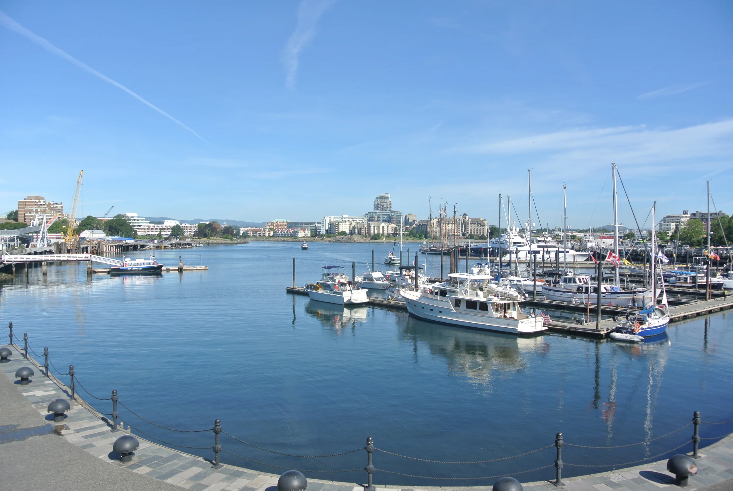 DSC_0598.JPG