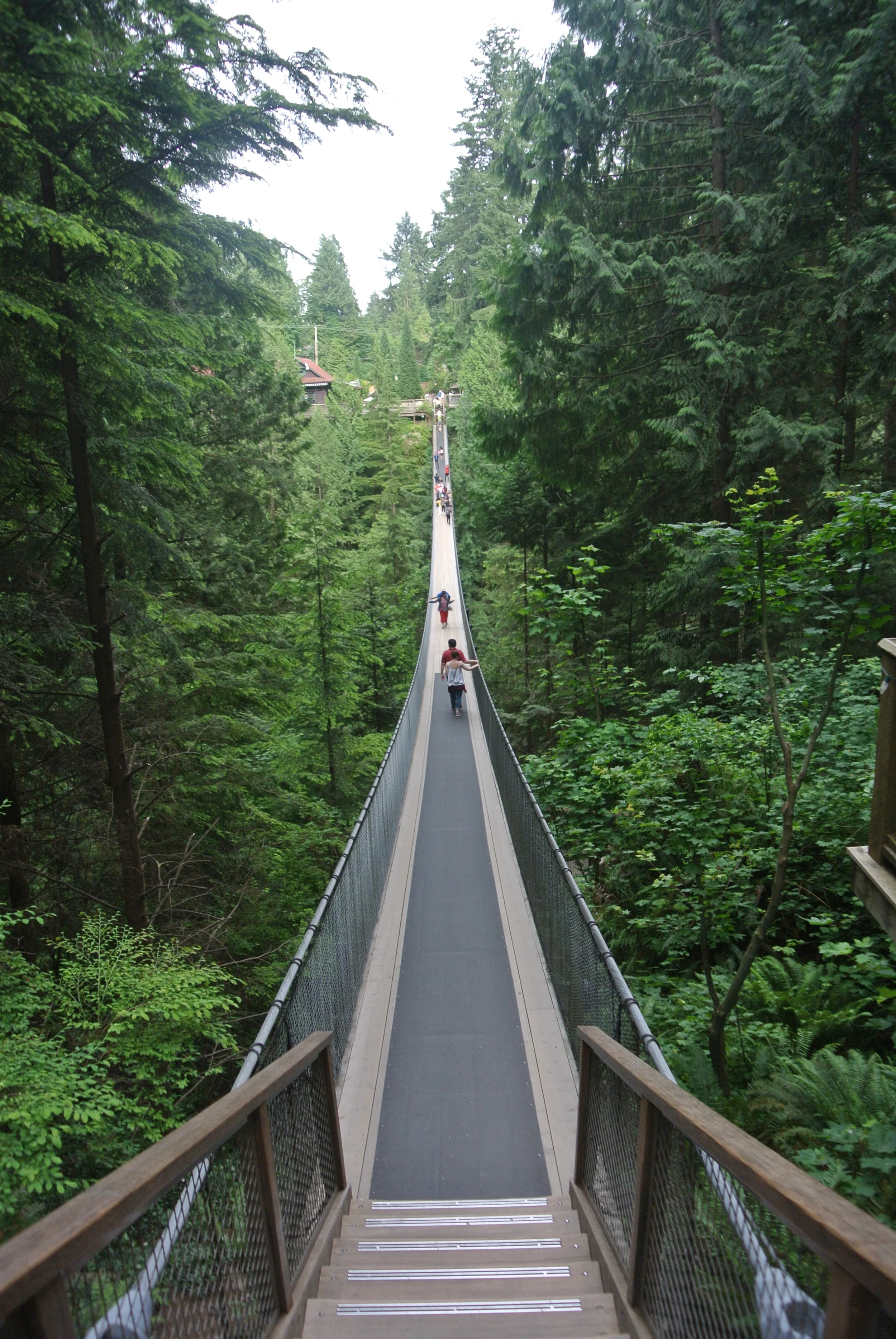 DSC_0715.JPG