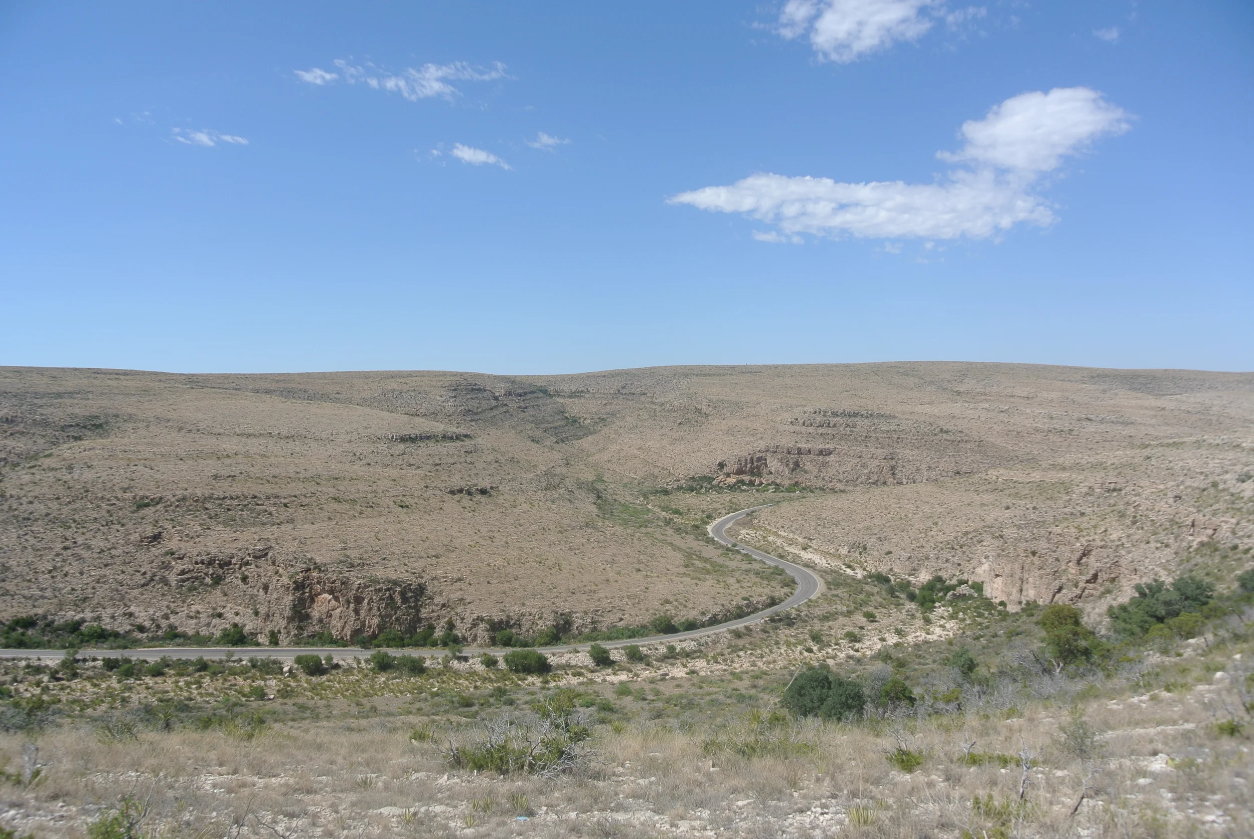 DSC_1036.JPG