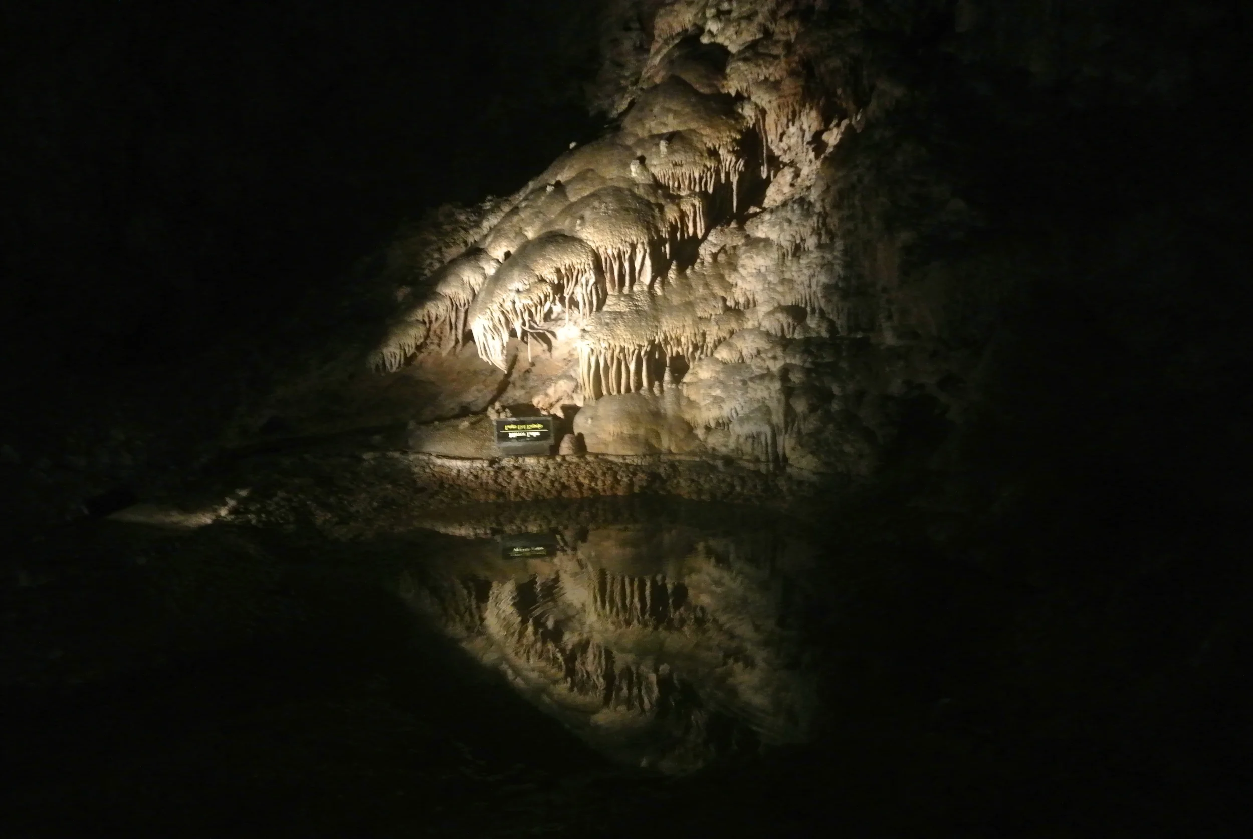 DSC_1072.JPG