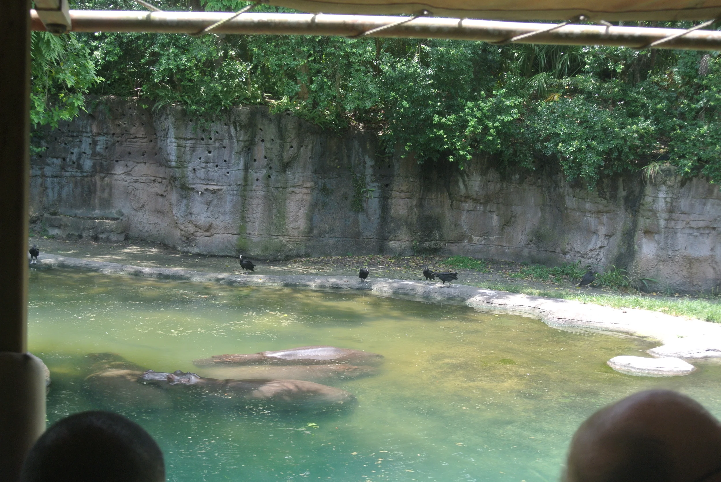 DSC_2376 - Copy.JPG