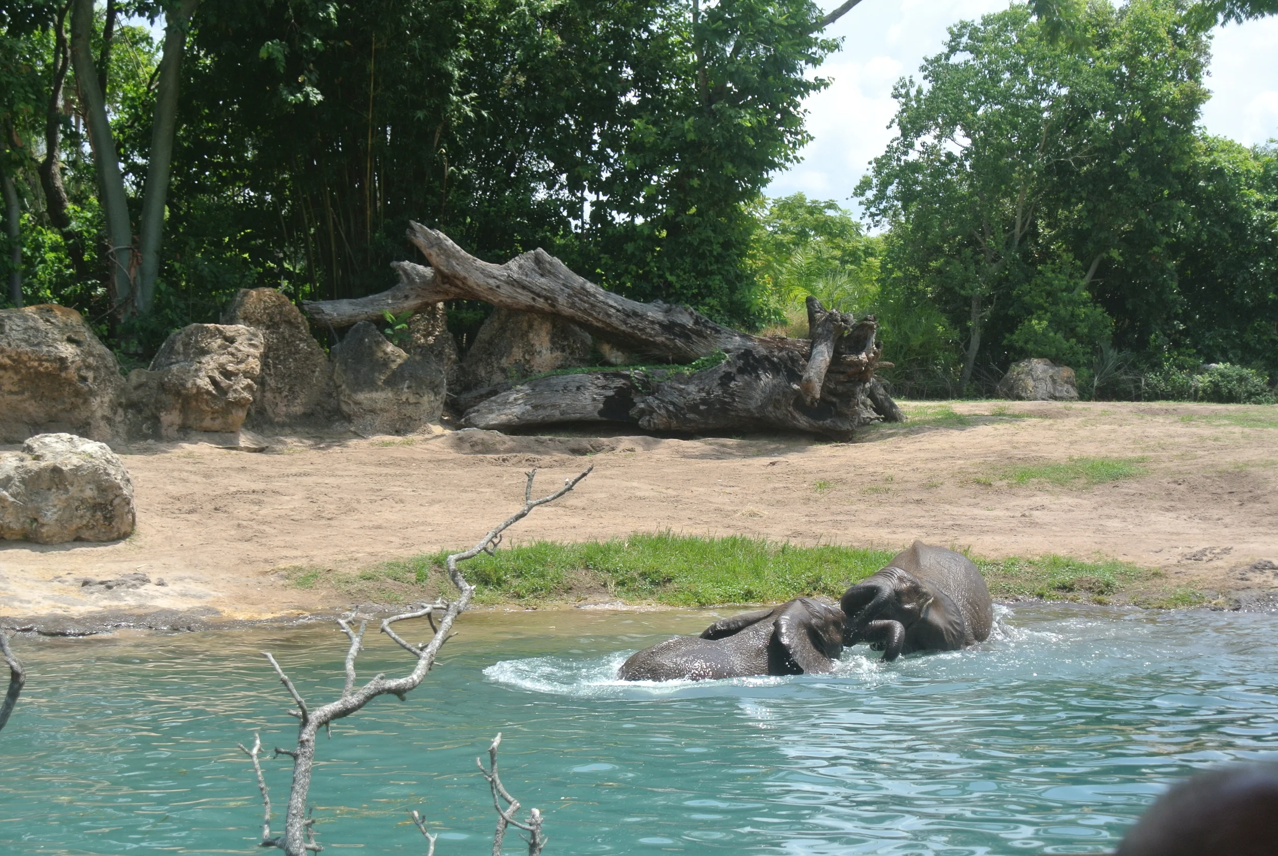 DSC_2397 - Copy.JPG