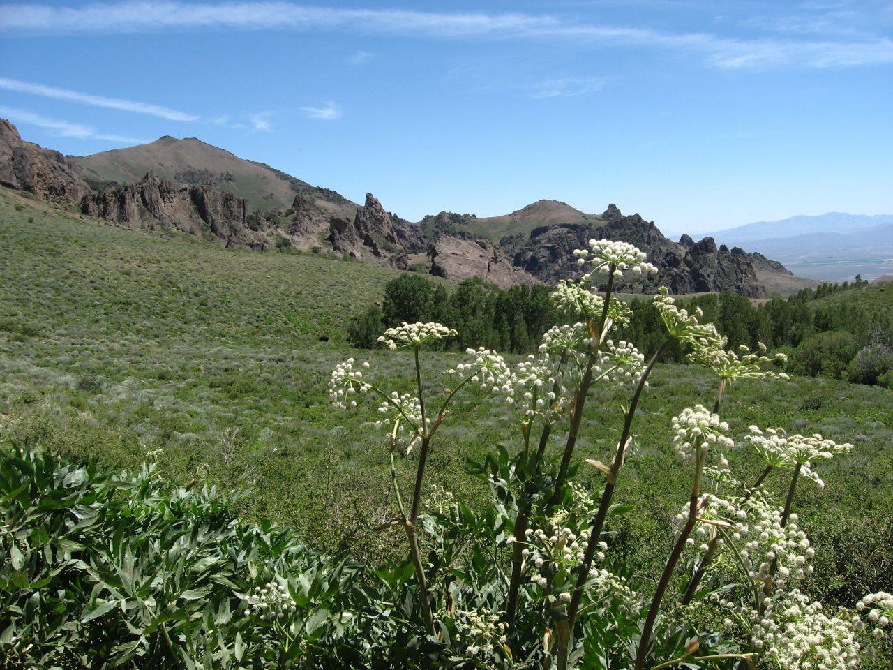 Hinkey Summit, Santa Rosa Range Near Paradise Valley, Nevada