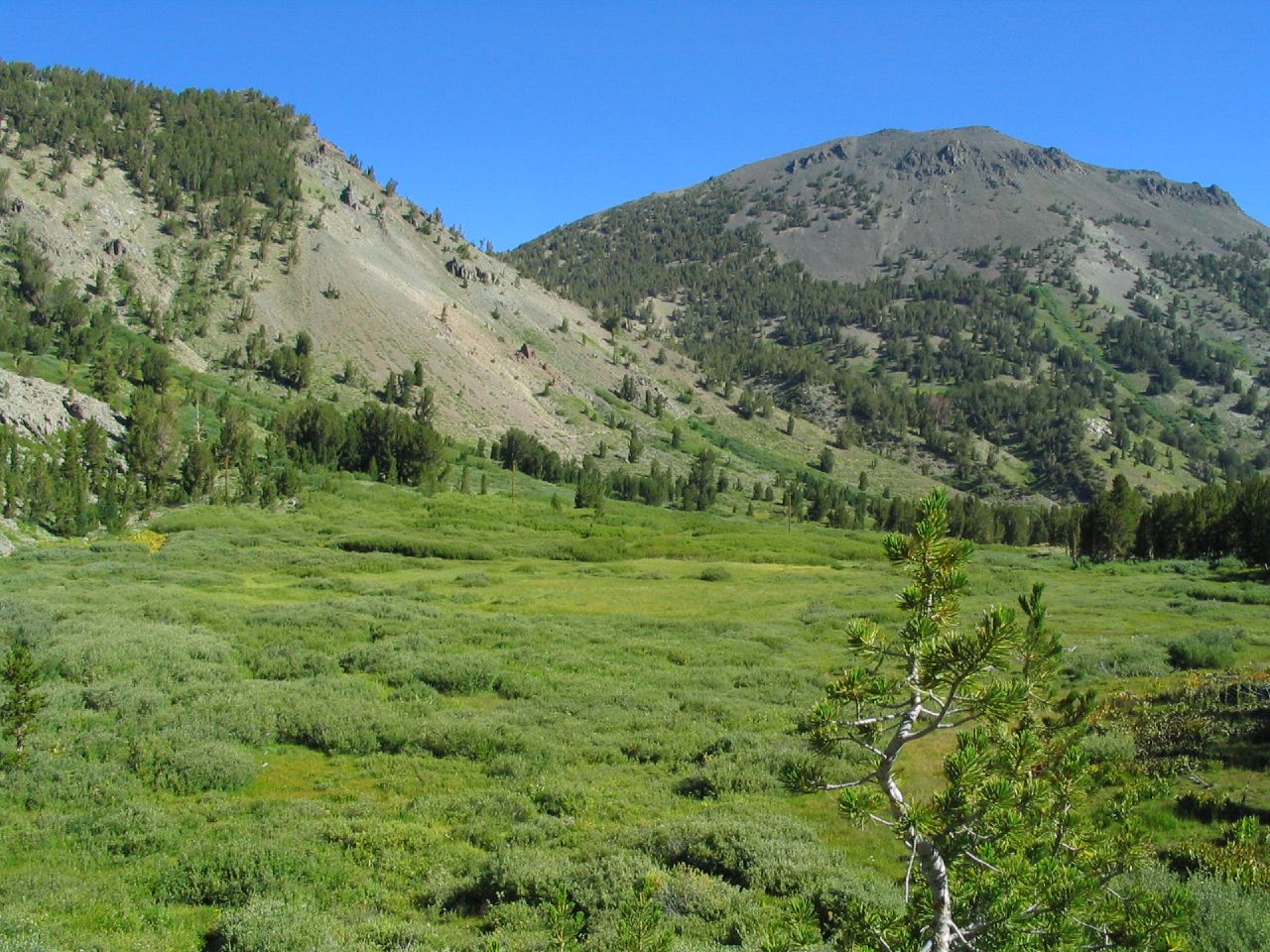Mount Rose Near Incline Village, Nevada