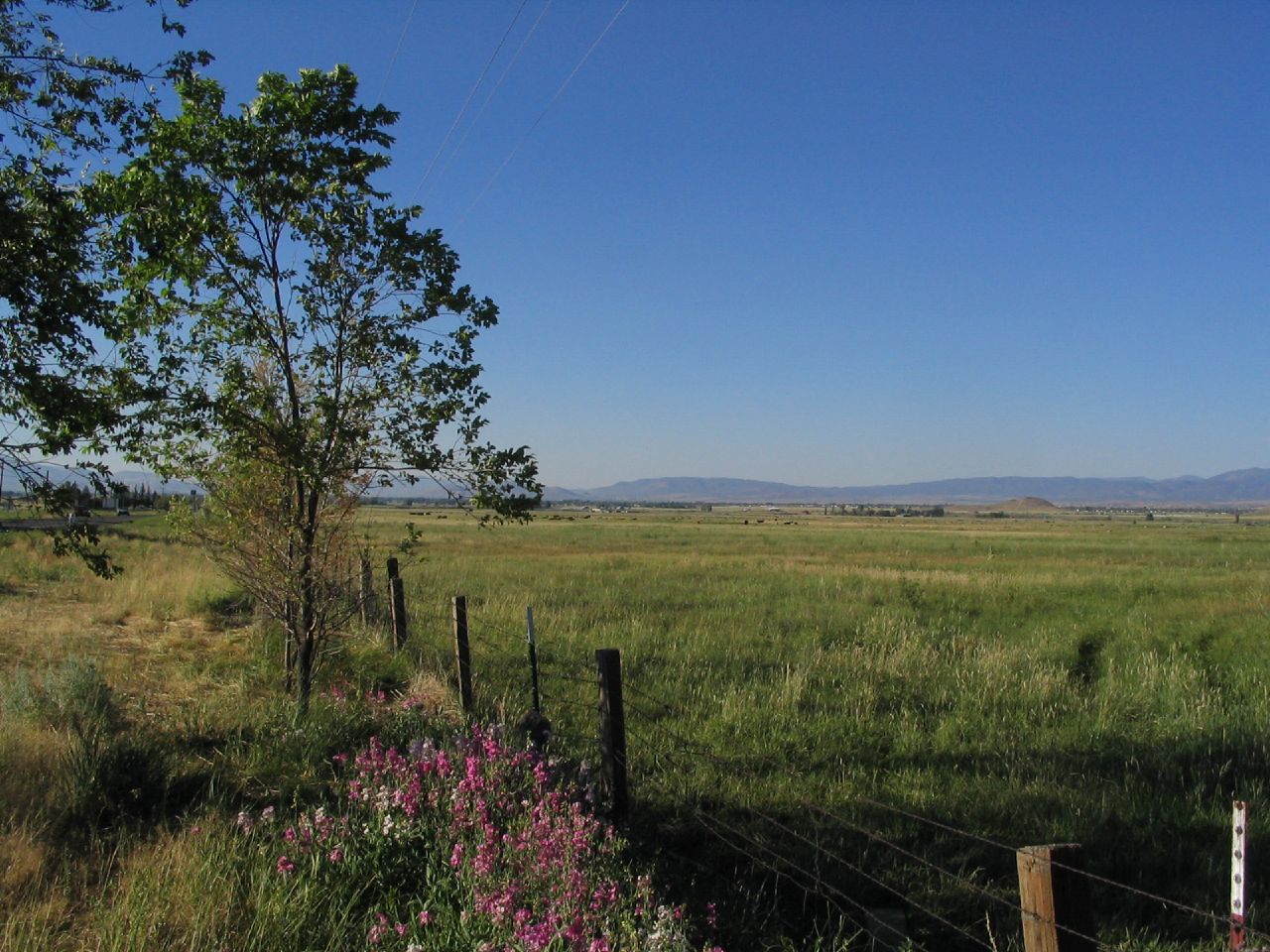 South of Minden, Nevada