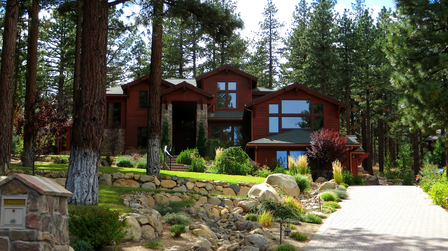 Galena Forest_opt.jpg
