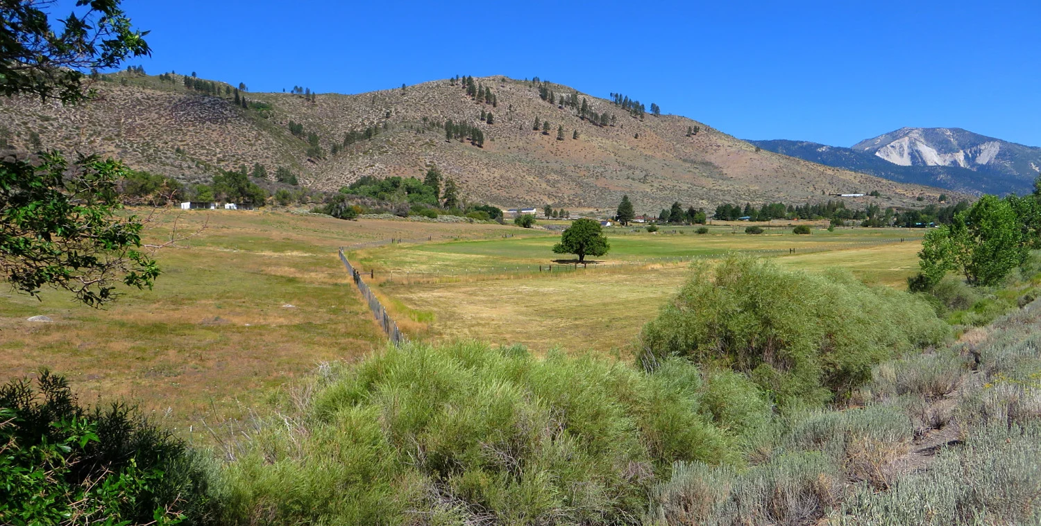 Washoe Valley West_opt.jpg
