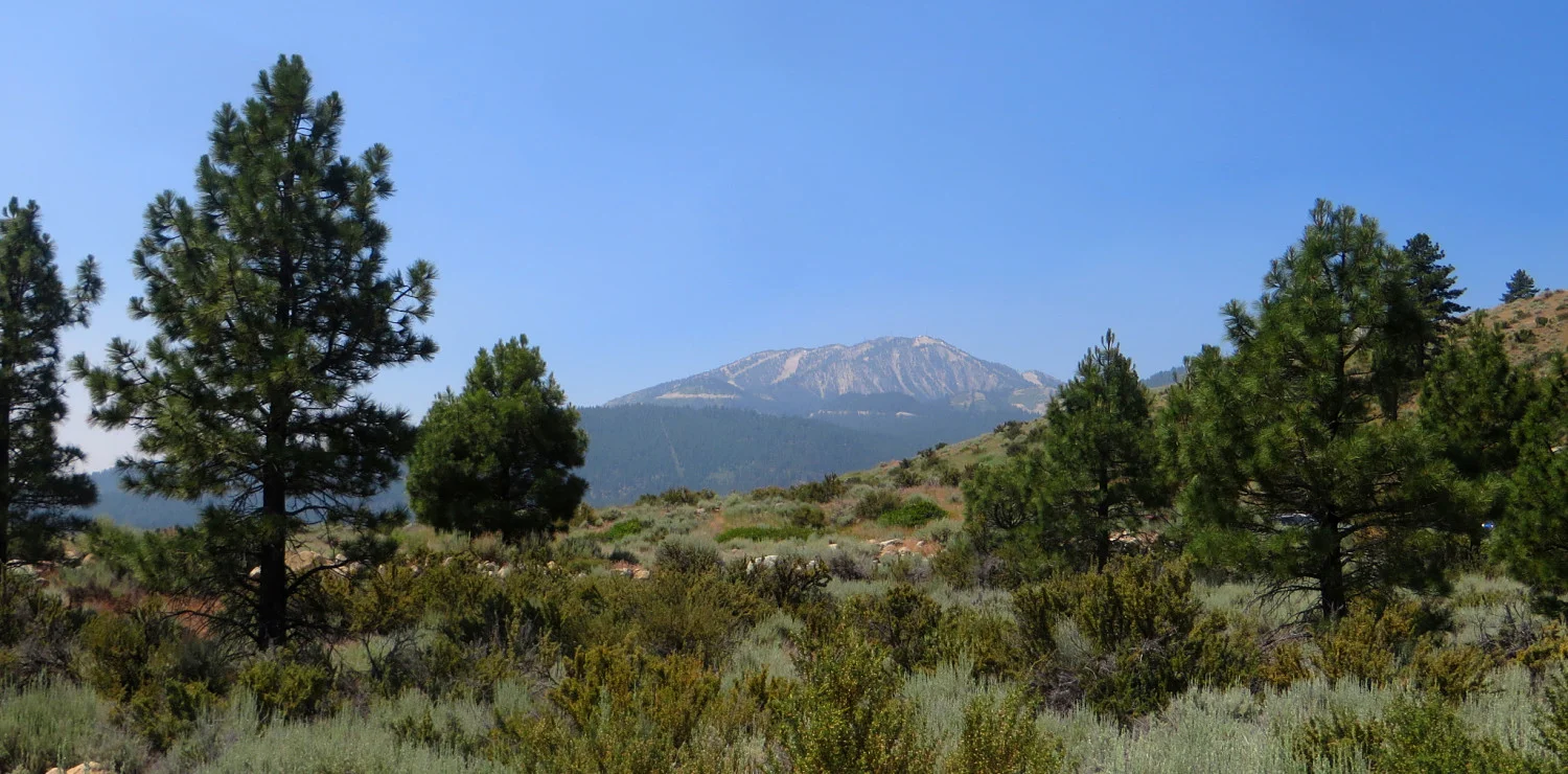 Mount Rose_opt.jpg