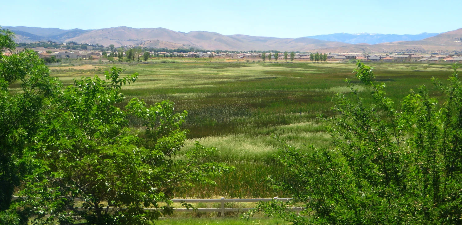Damonte Ranch South_opt.jpg