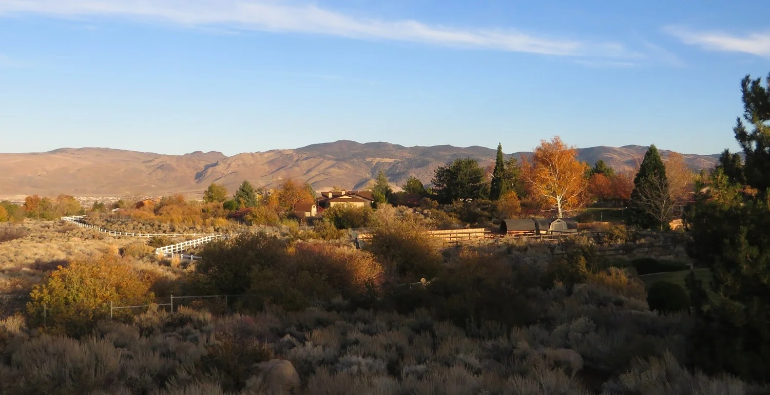 Ridgeview (1)_opt.jpg