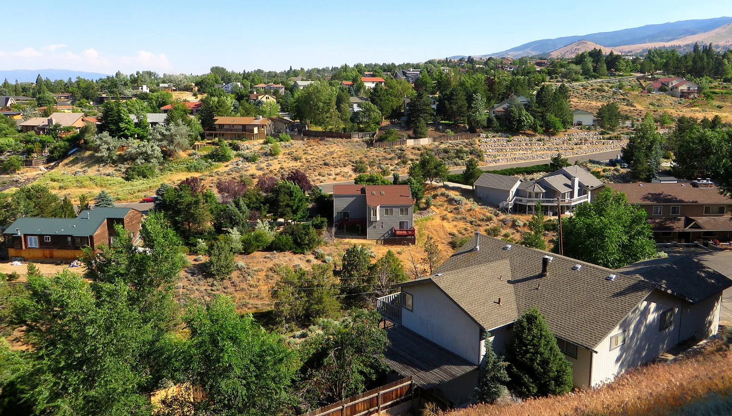 Driscoll Hills_opt.jpg