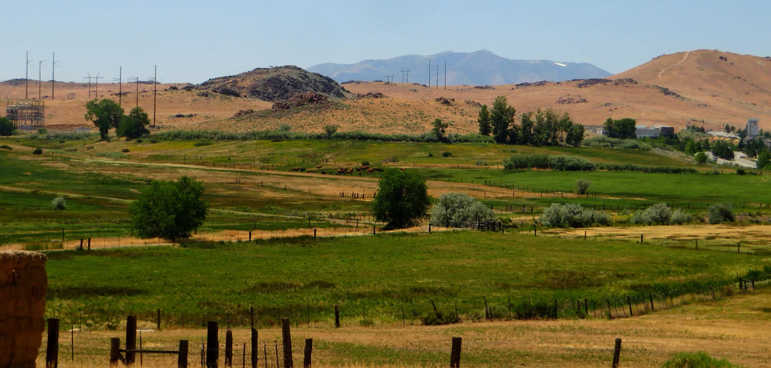 Spanish Springs Banner 3_opt.jpg