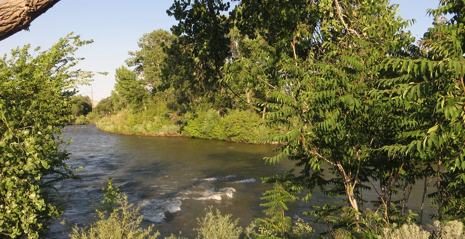 Truckee River North_opt.jpg