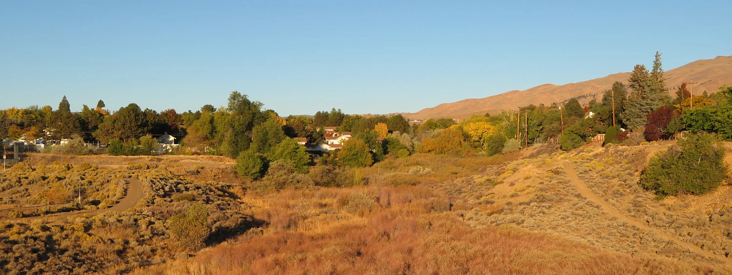 Sierra Heights_opt.jpg