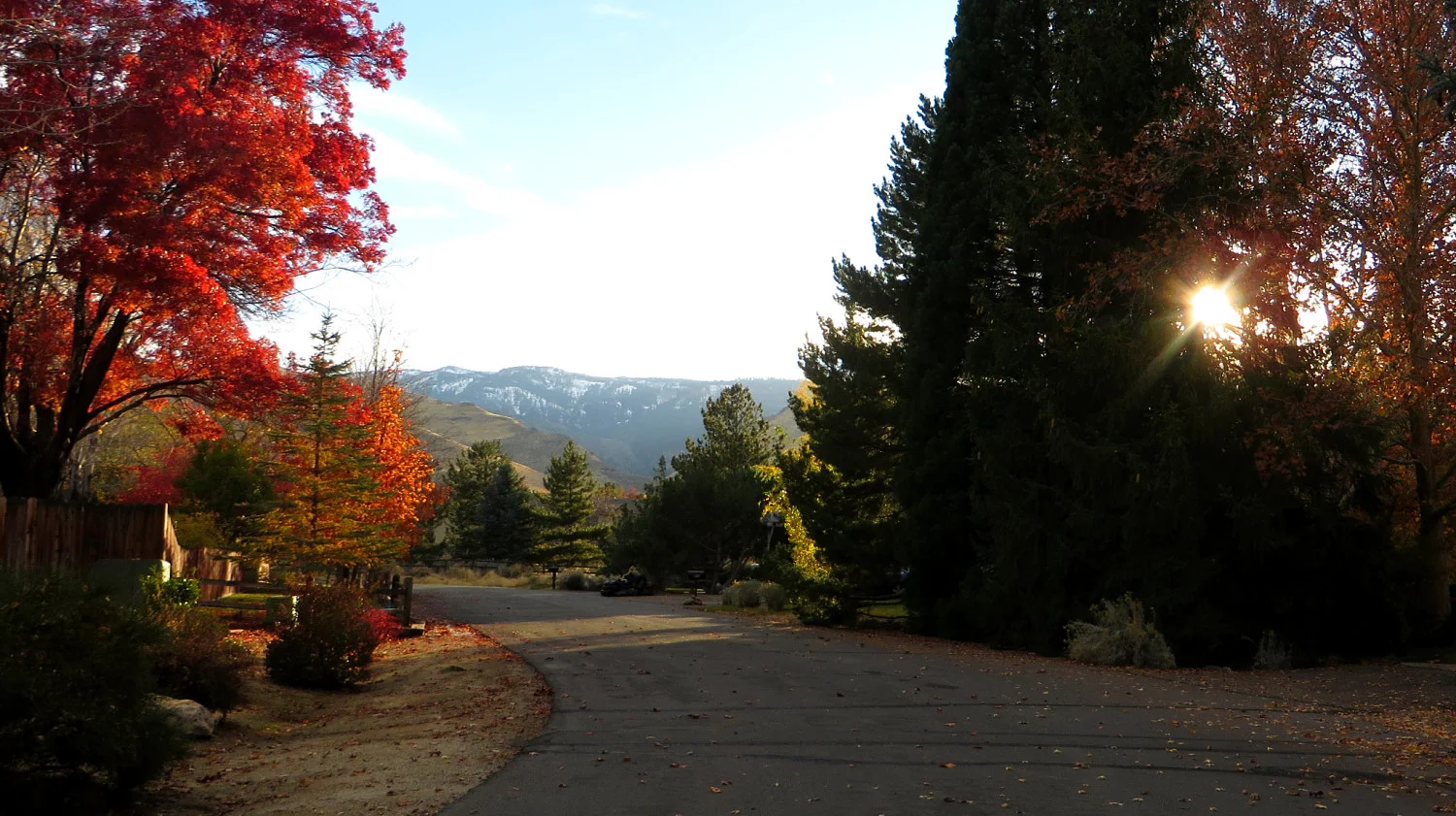 River View Park_opt.jpg