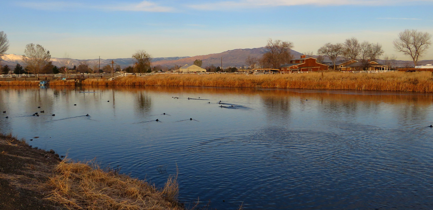 Rosewood Lakes_opt.jpg