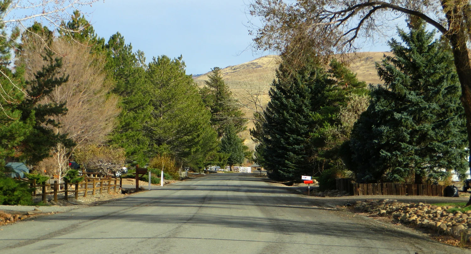 Galena Pines_opt.jpg