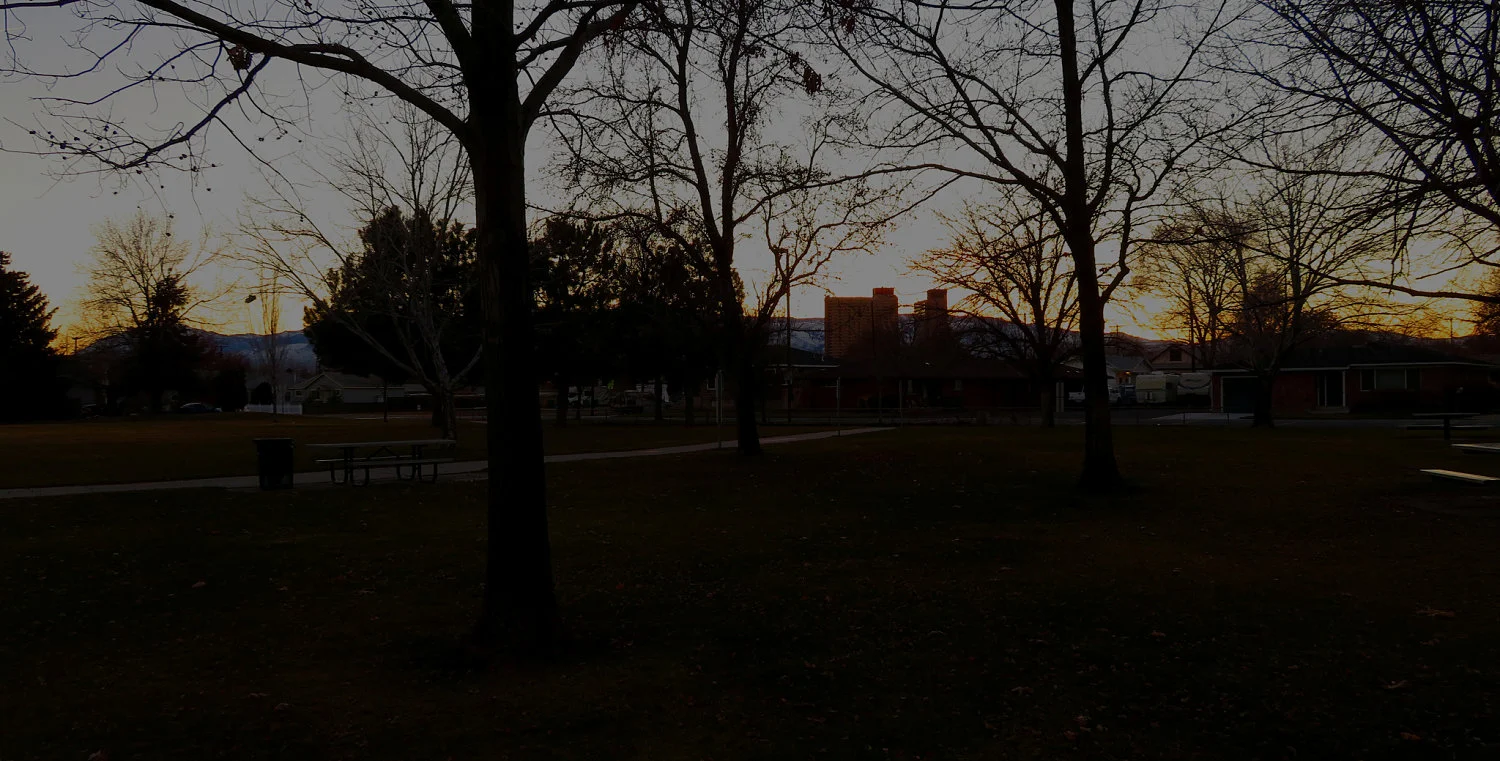 Lincoln Park_opt.jpg
