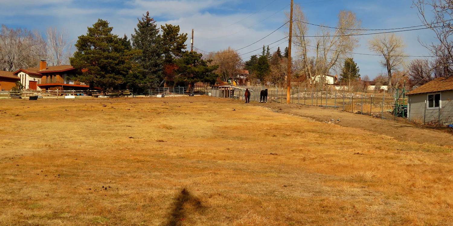 NW NE Reno Banner_opt.jpg