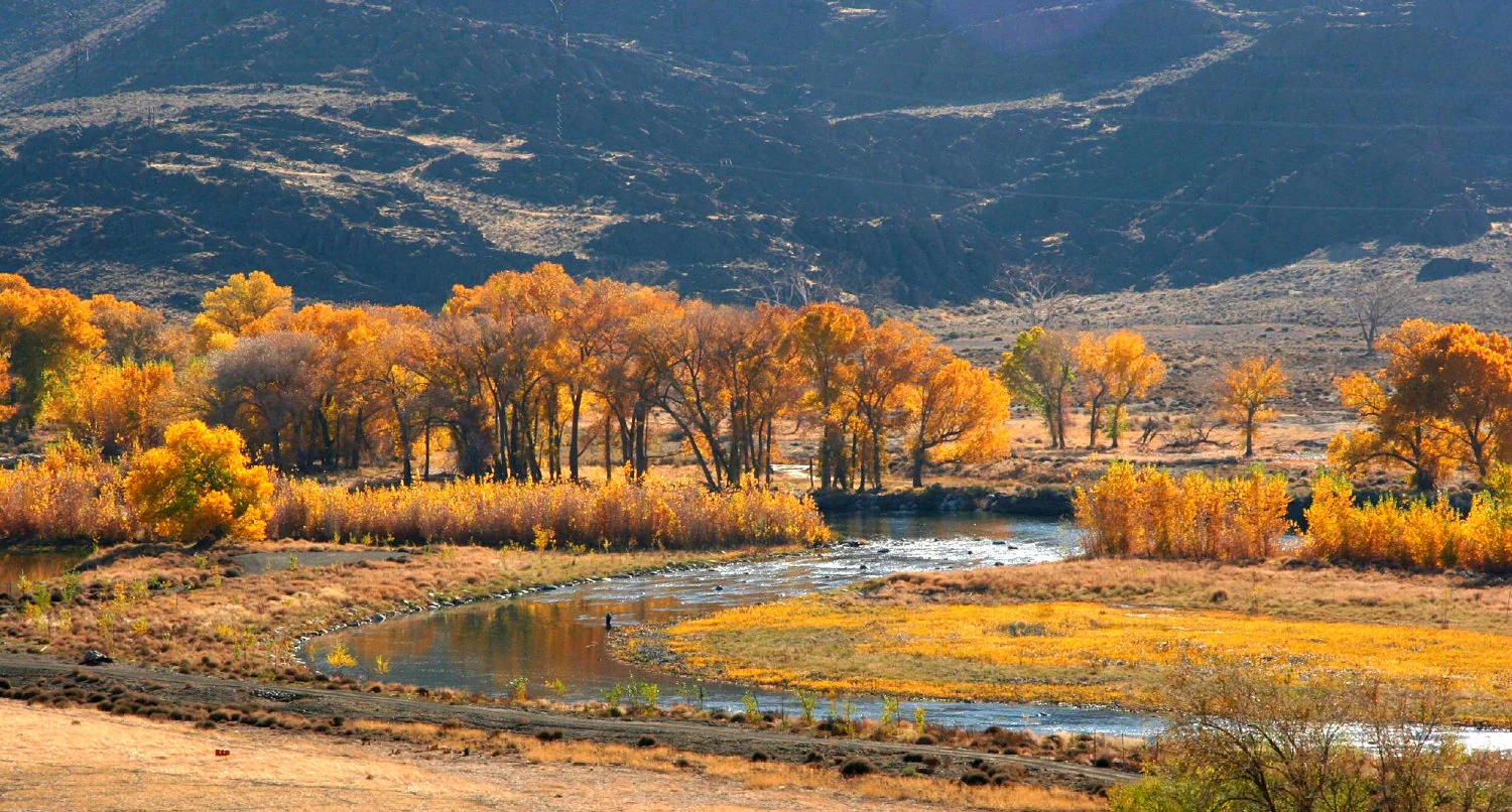 Truckee River_opt.jpg