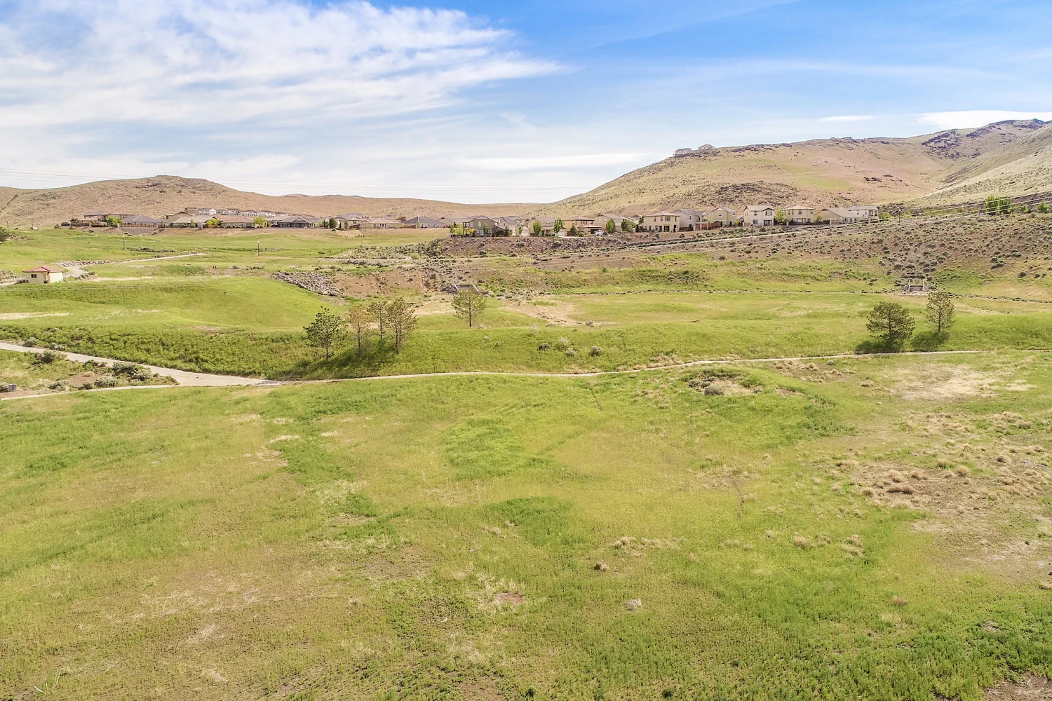 2634RosetoCir(high)-37_opt.jpg