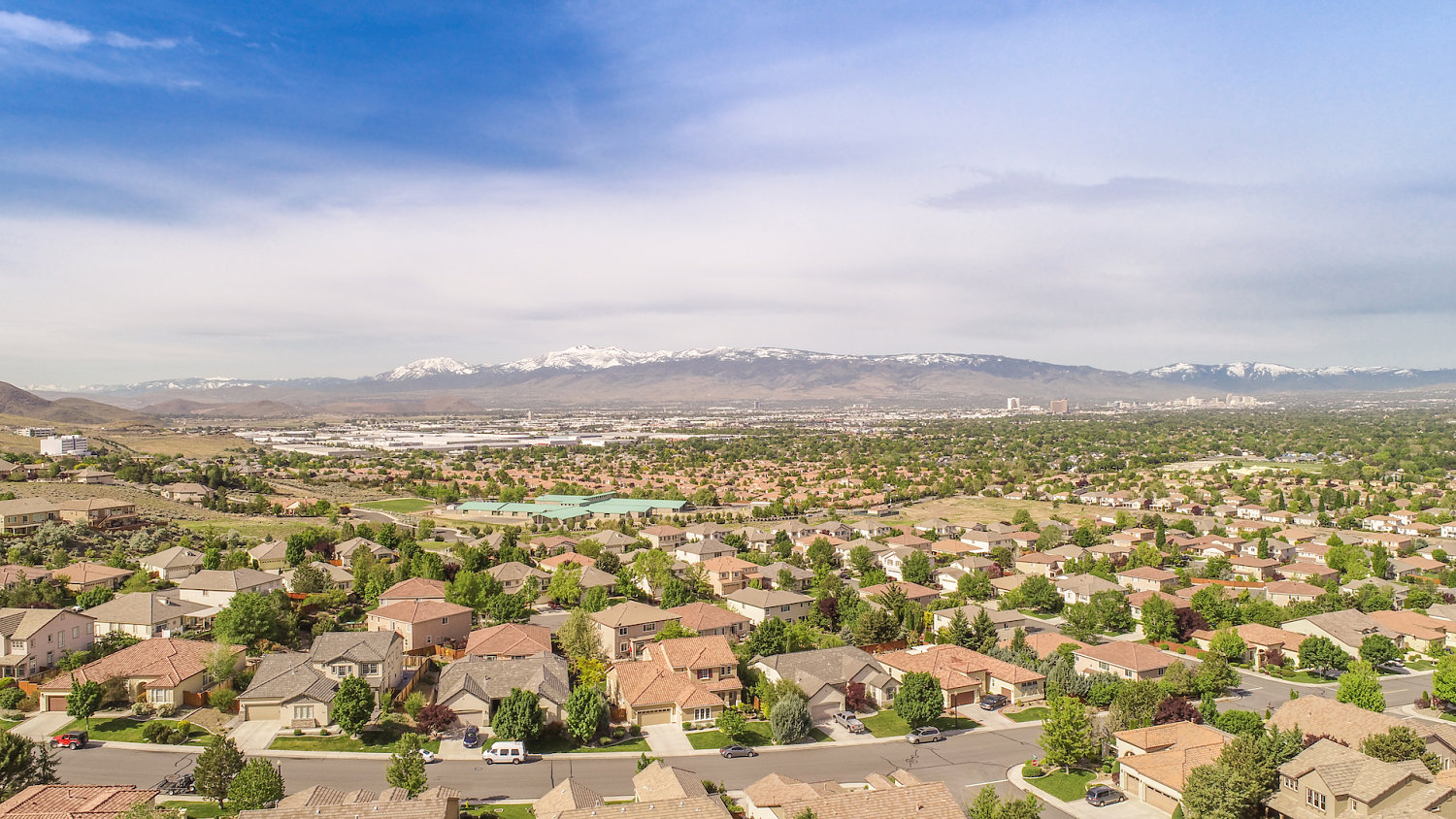 2634RosetoCir(high)-40_opt.jpg