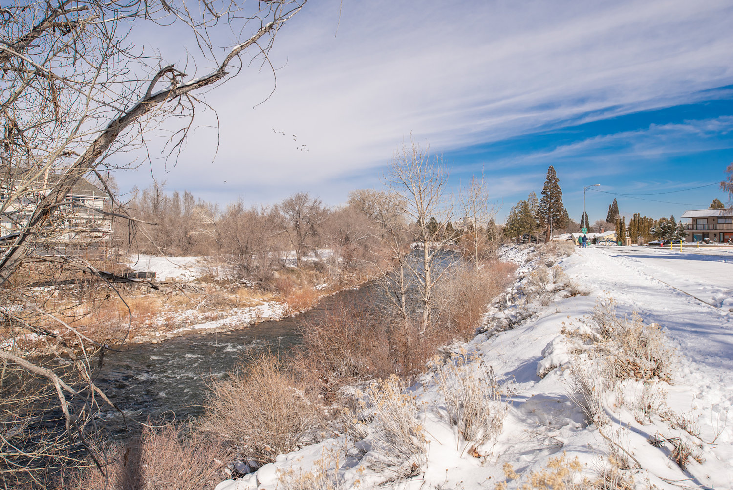 2845Idlewild#202(high)-12_opt.jpg