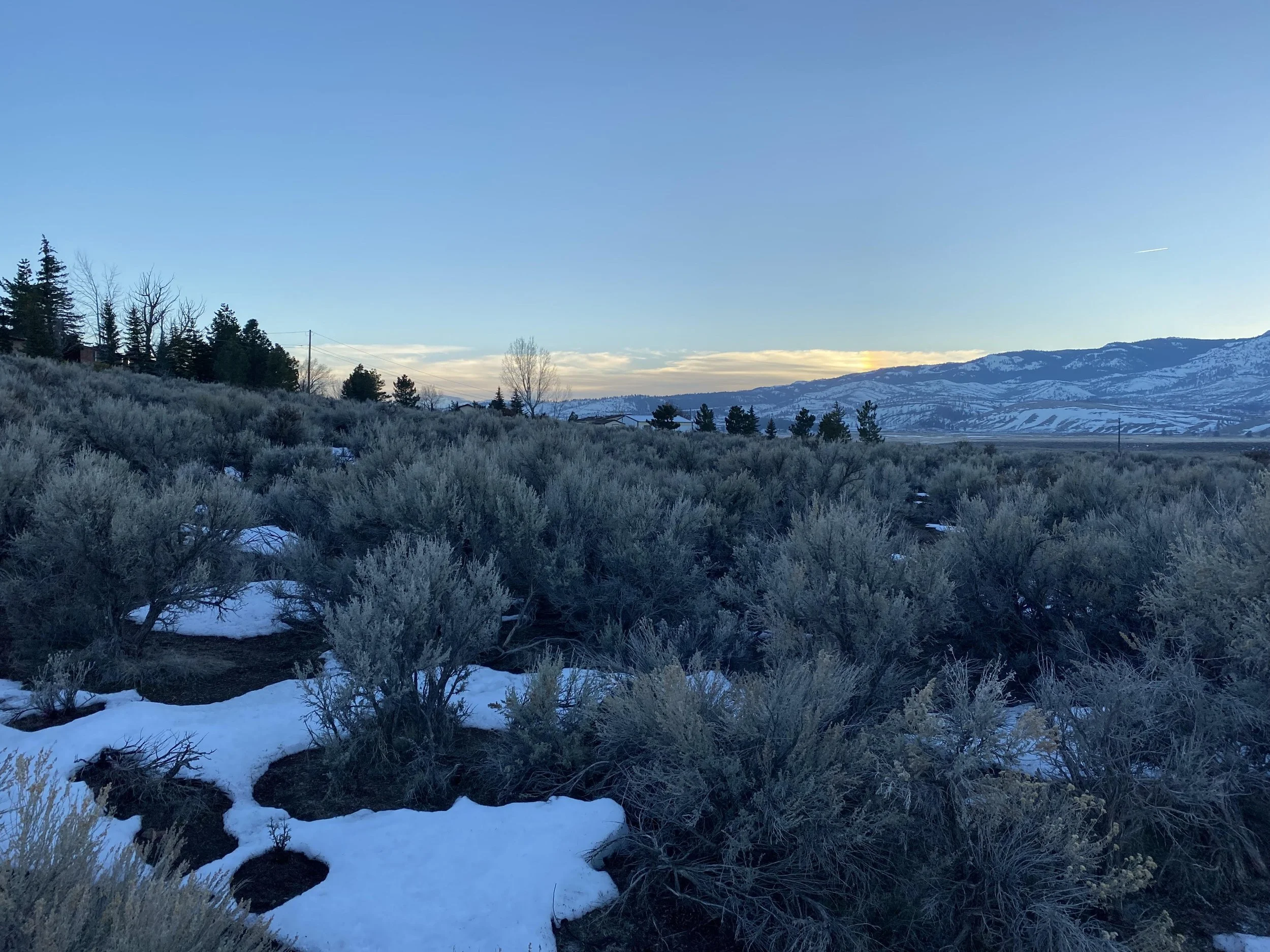 Cold Springs-min.jpg