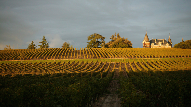 sauternes2.png