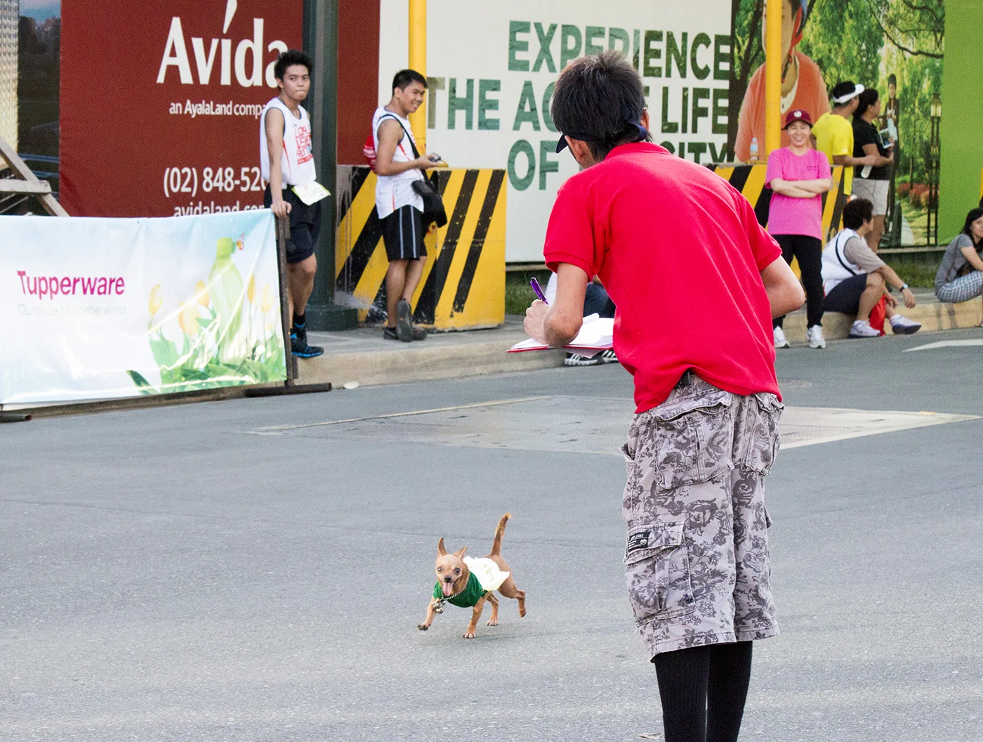 Dog the Runner.jpg