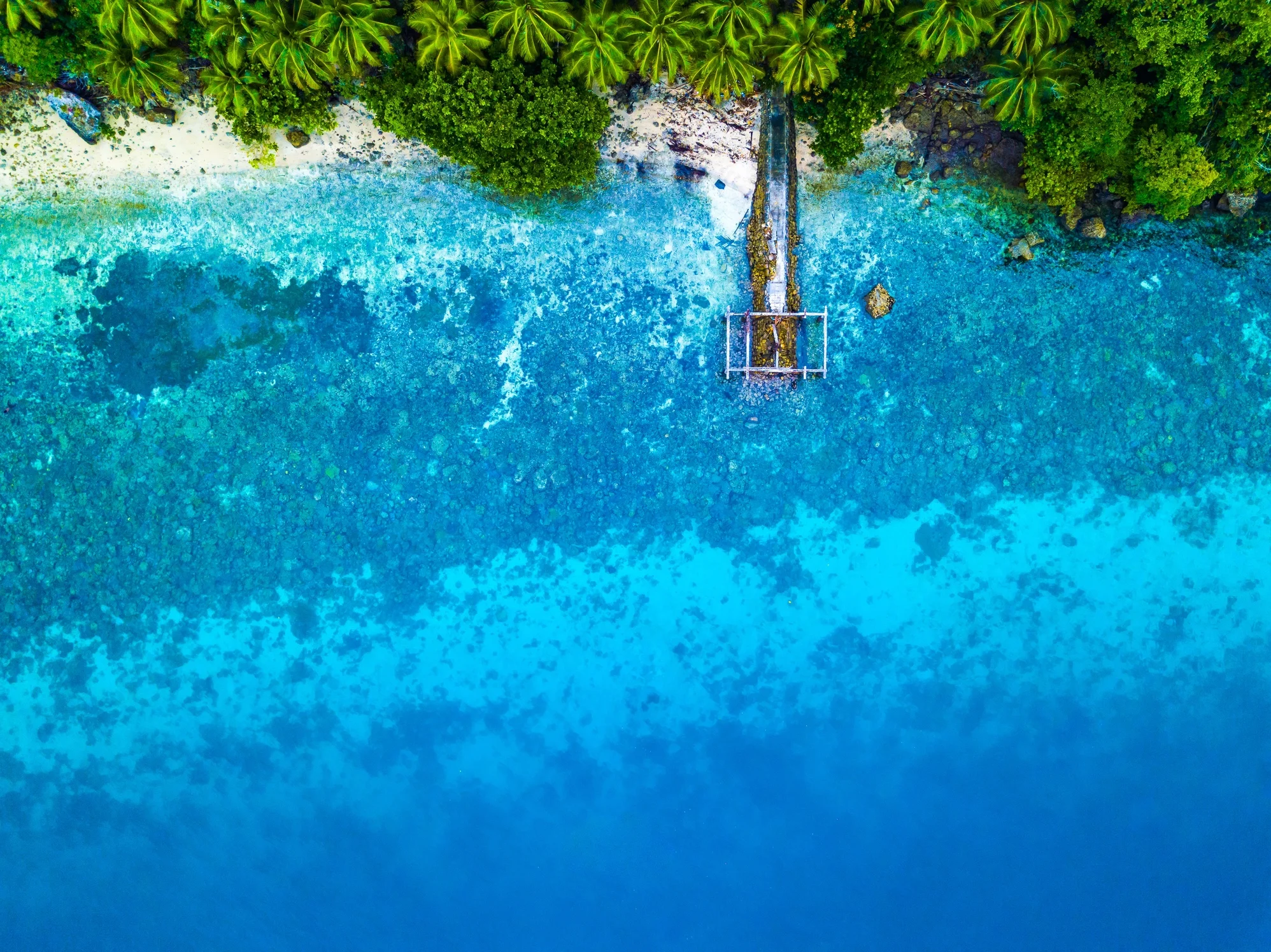 DJI_0560.JPG