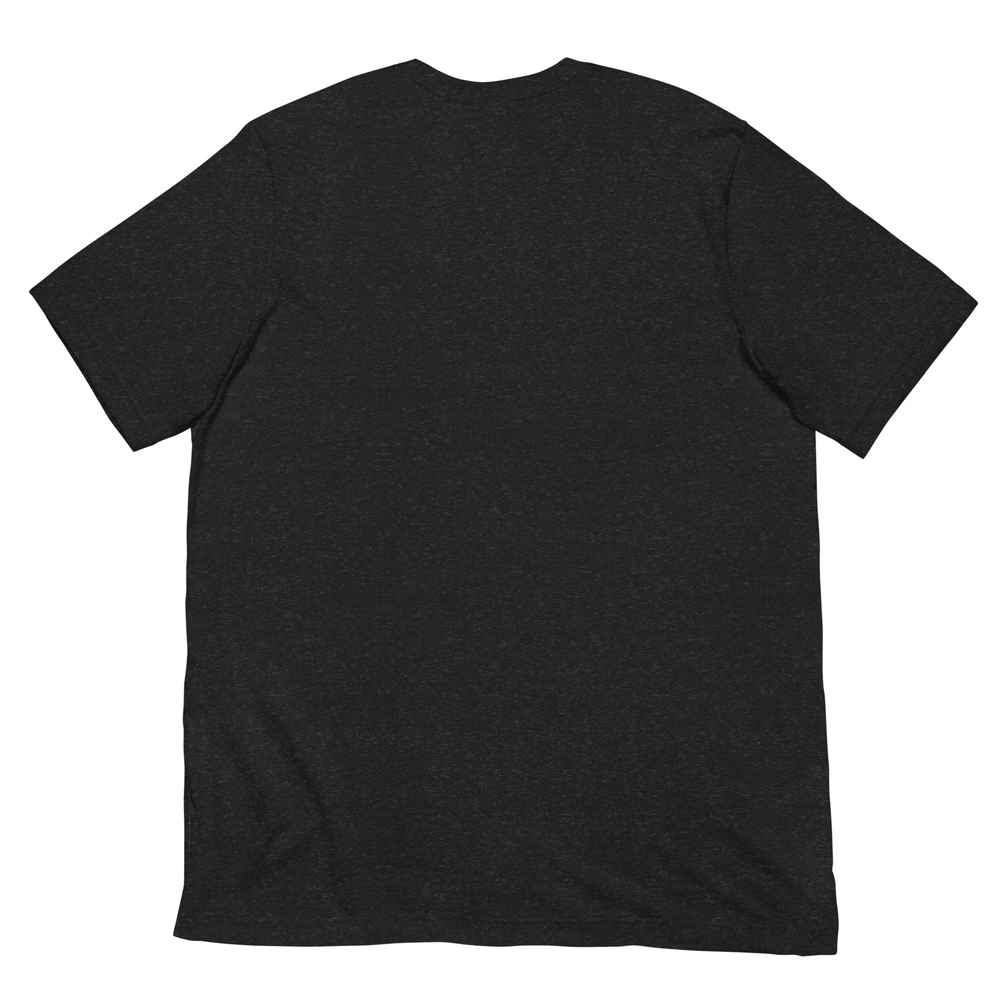 unisex-staple-t-shirt-black-heather-back-6a021073c29ce.jpg