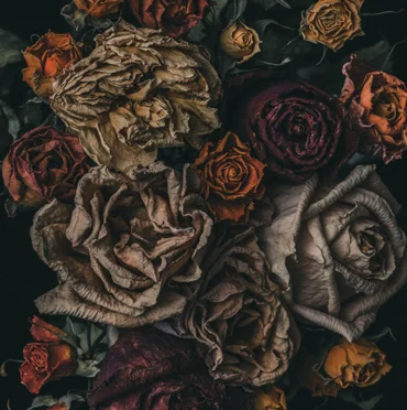 No.9 Limited Edition Print from $625.00