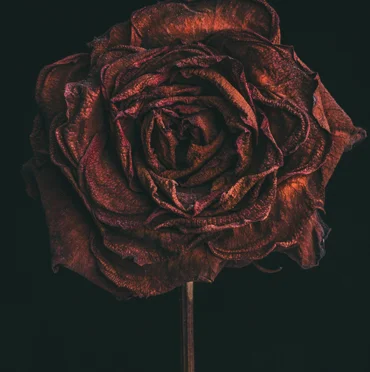 No.1 Limited Edition Print from $625.00
