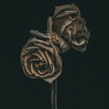 No.3 Limited Edition Print from $625.00